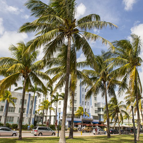 Bella Mar Real Estate