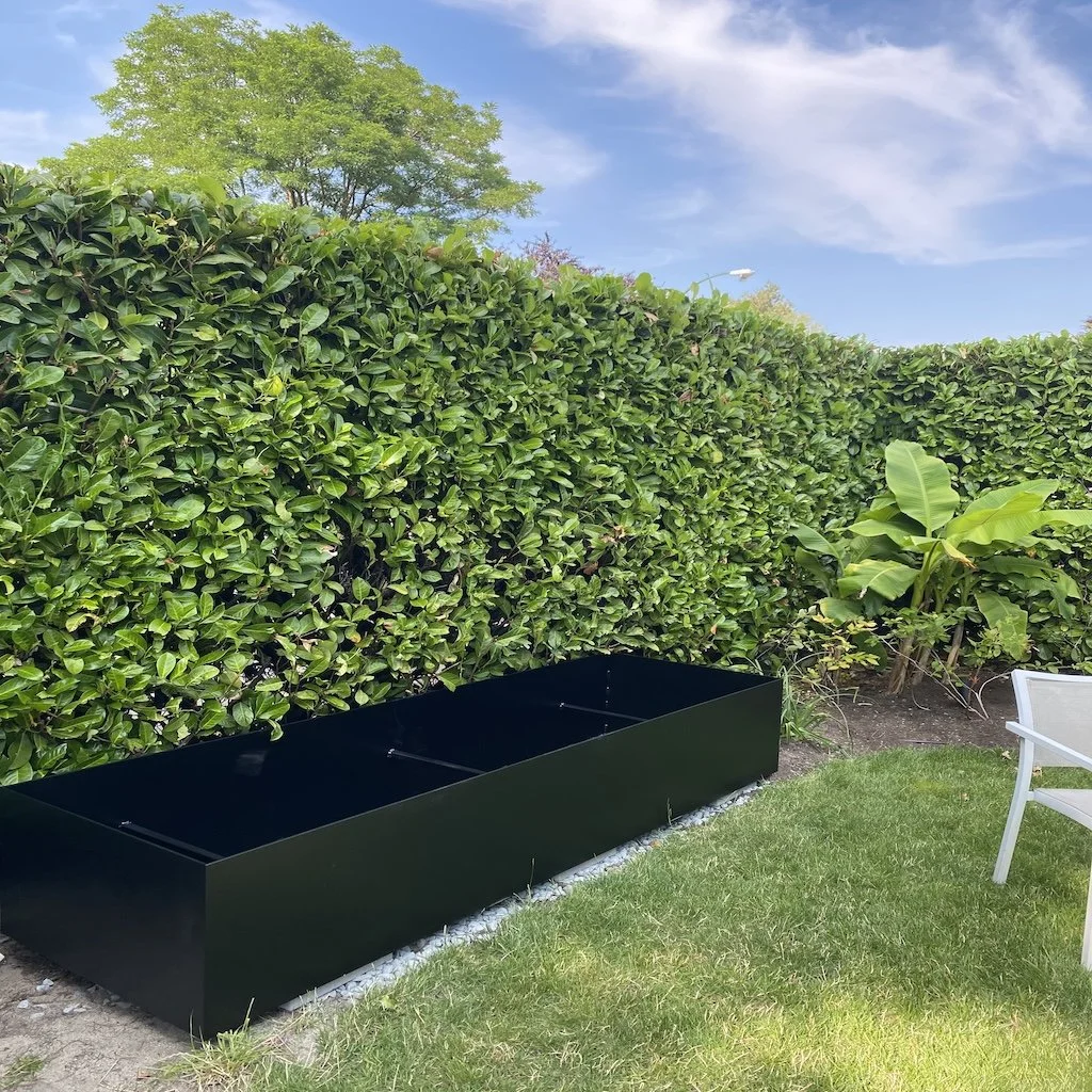 Planter box #1.jpeg