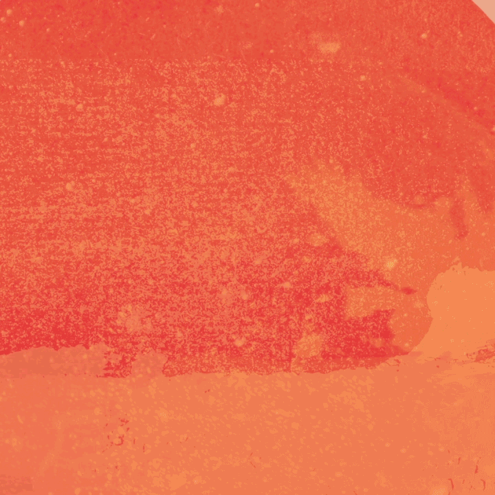 7.gif