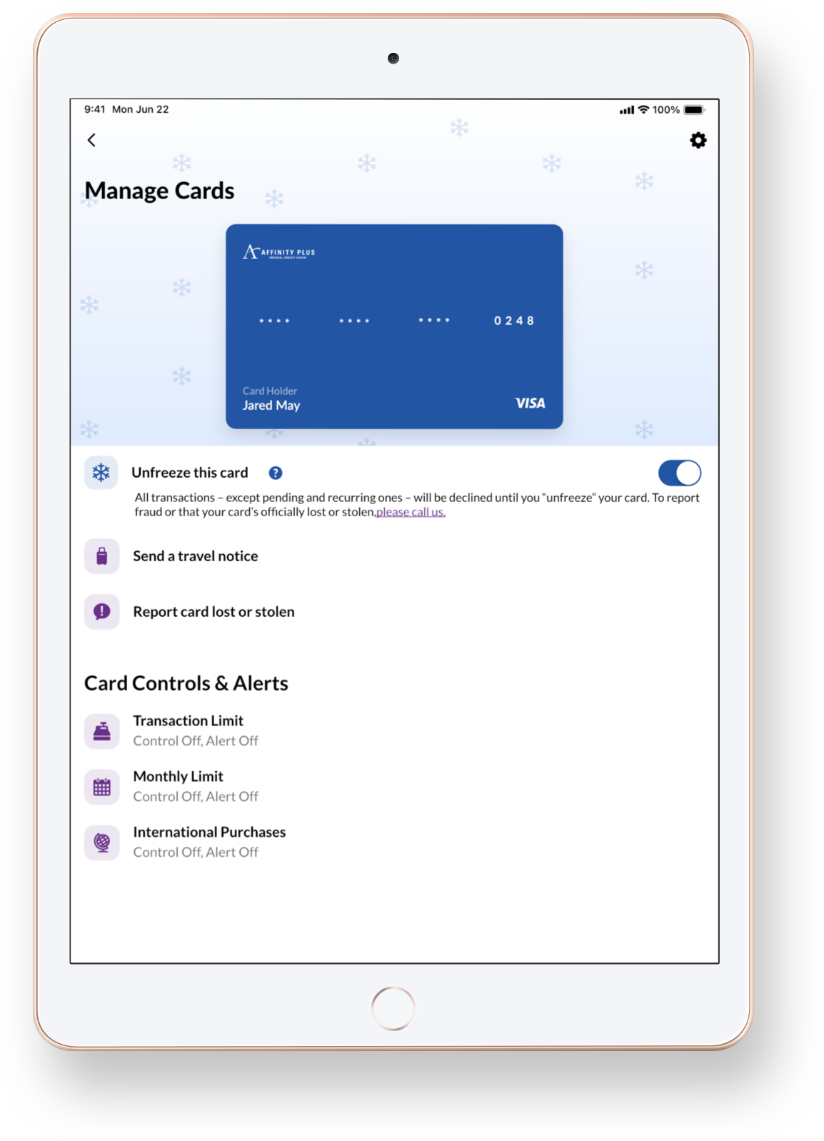 03-Card-Controls-iPad-App.png