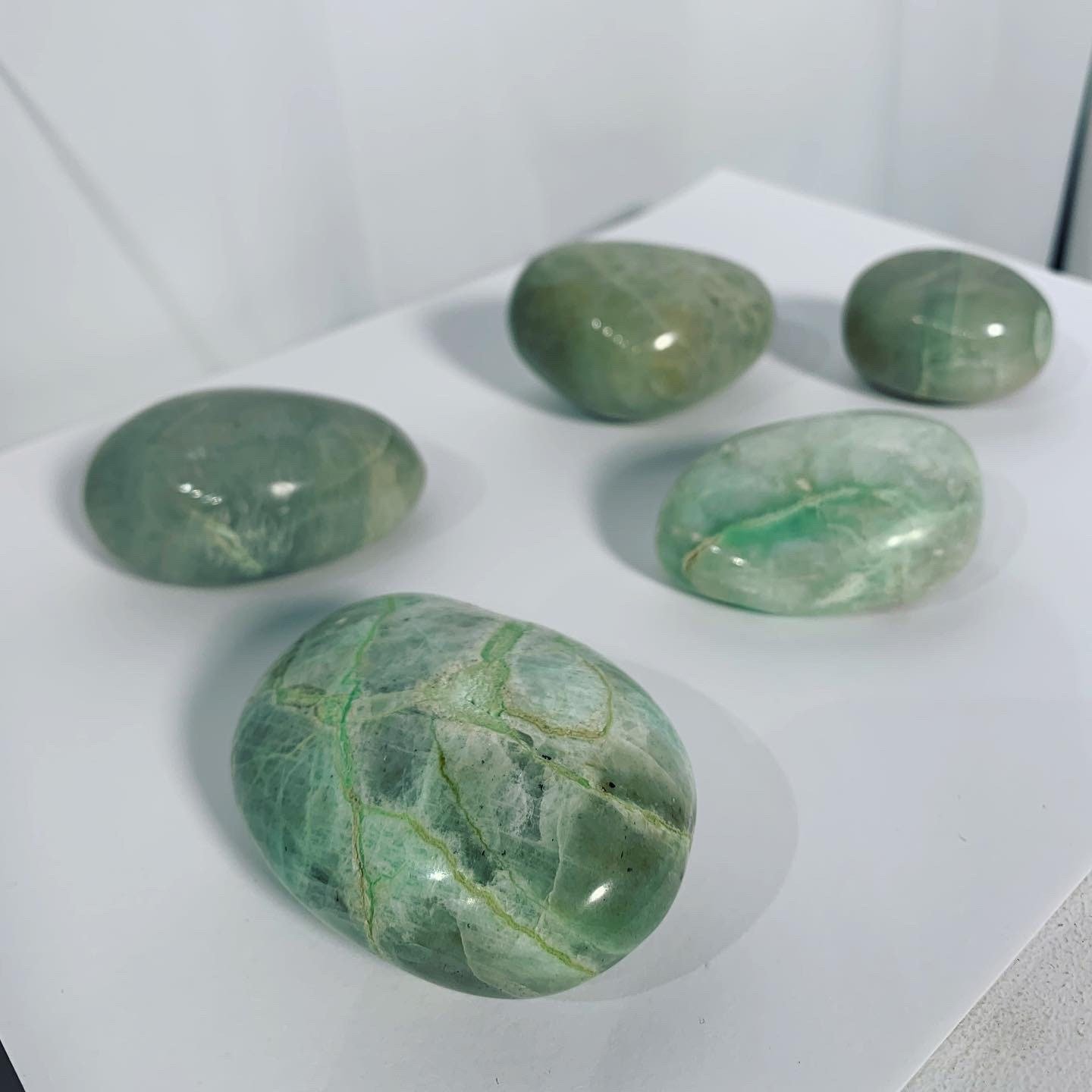 https://i.etsystatic.com/15787671/r/il/a7c4a7/3504496000/il_fullxfull.3504496000_3m7j.jpg
