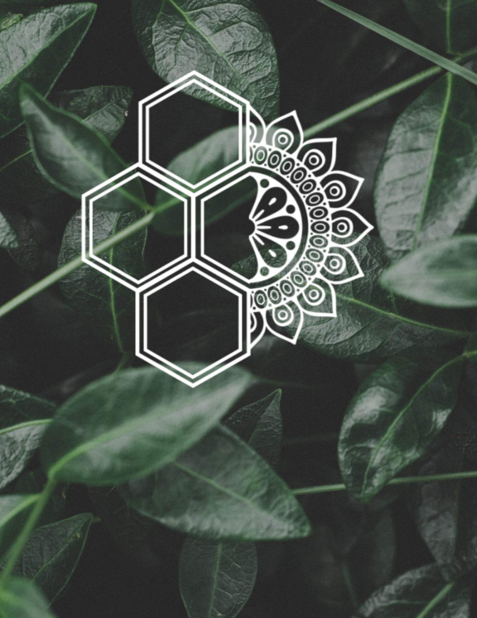 Seasonal Intention Setting Circle, Tea & Tarot