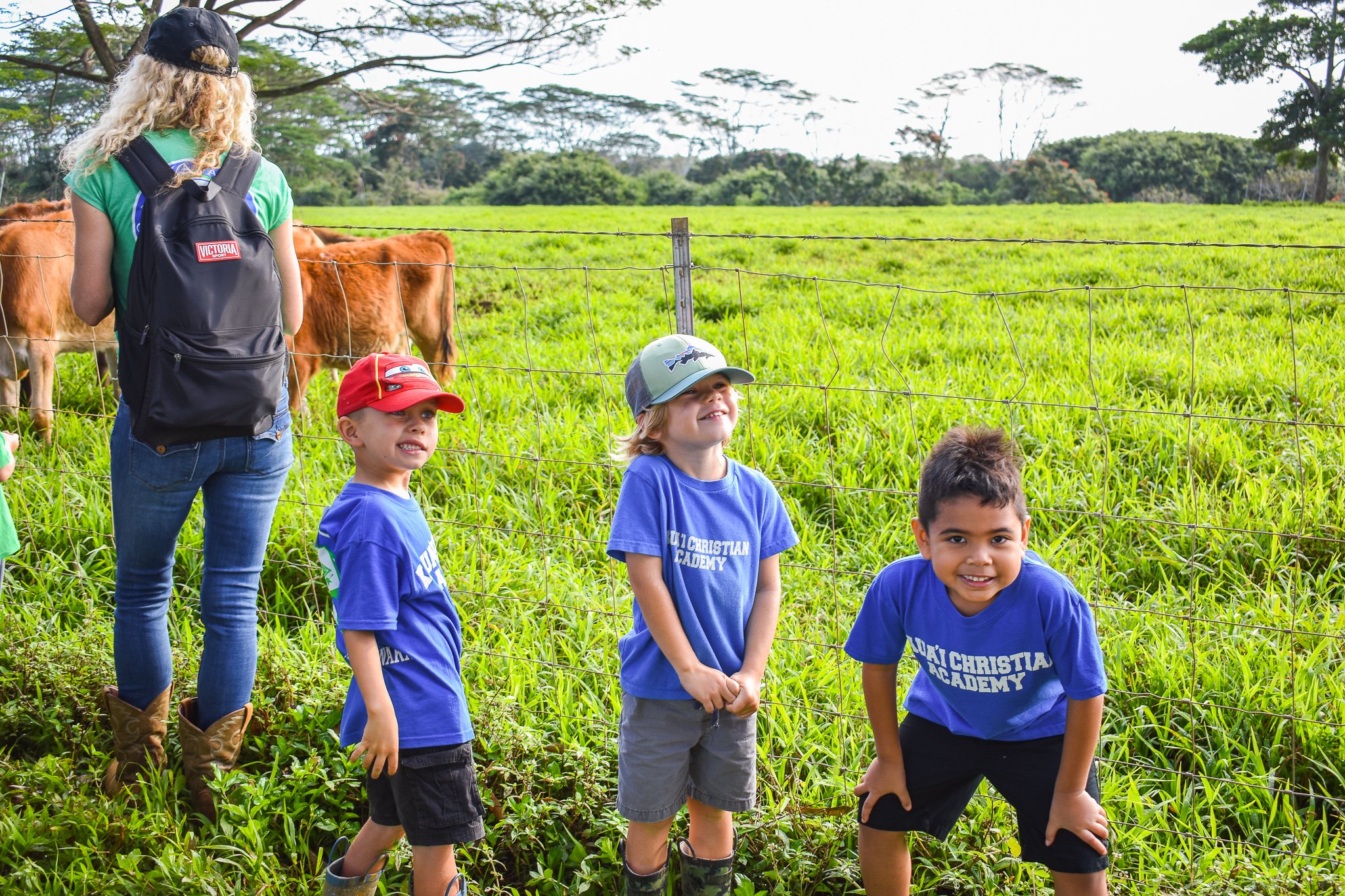 little boys on the farm
