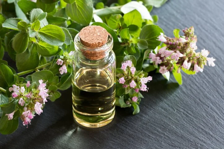 Oregano Oil