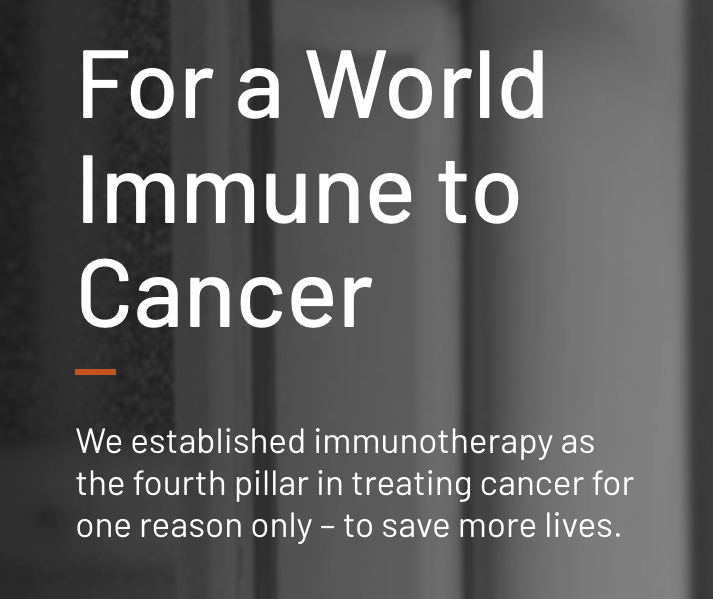 nonprofit copywriter