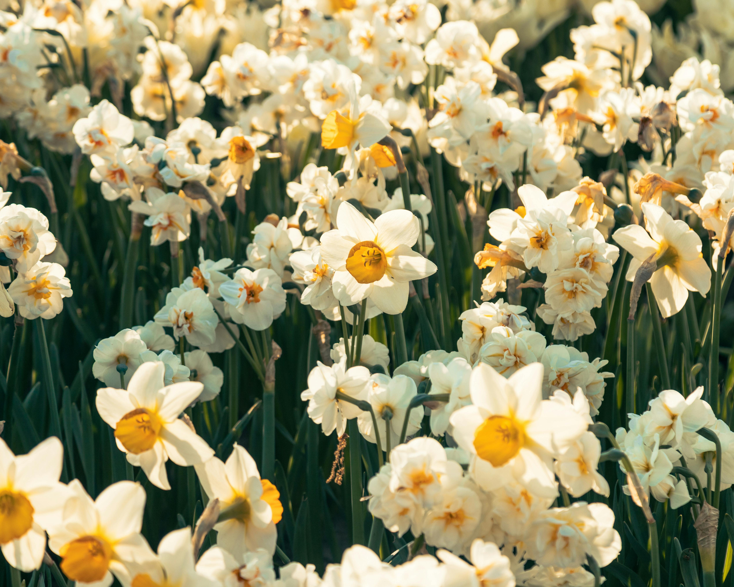 🌱 Spring Into Movement: Wake Up Your Body This March