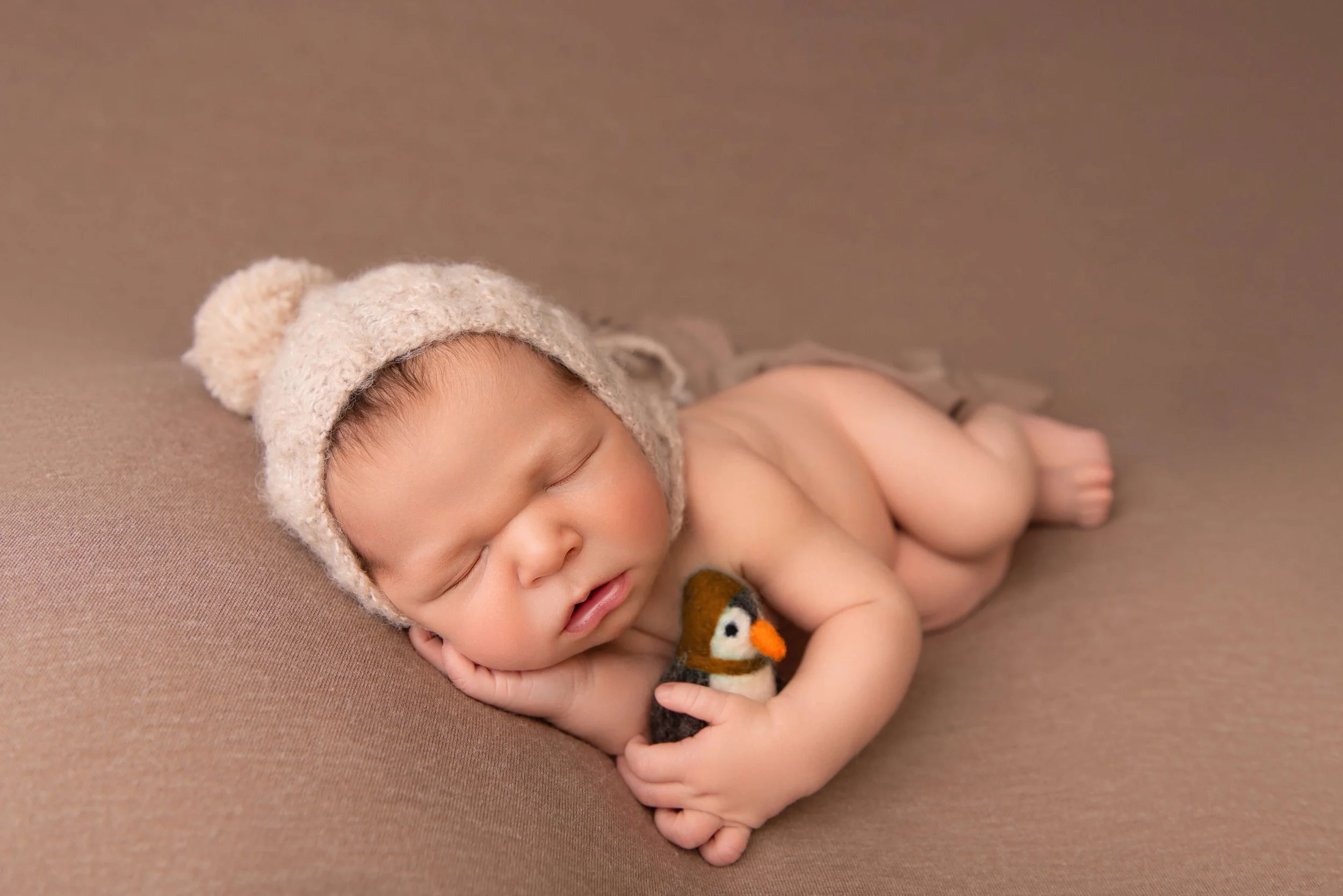 Toledo-Newborn-Photographer MJ (17).jpg