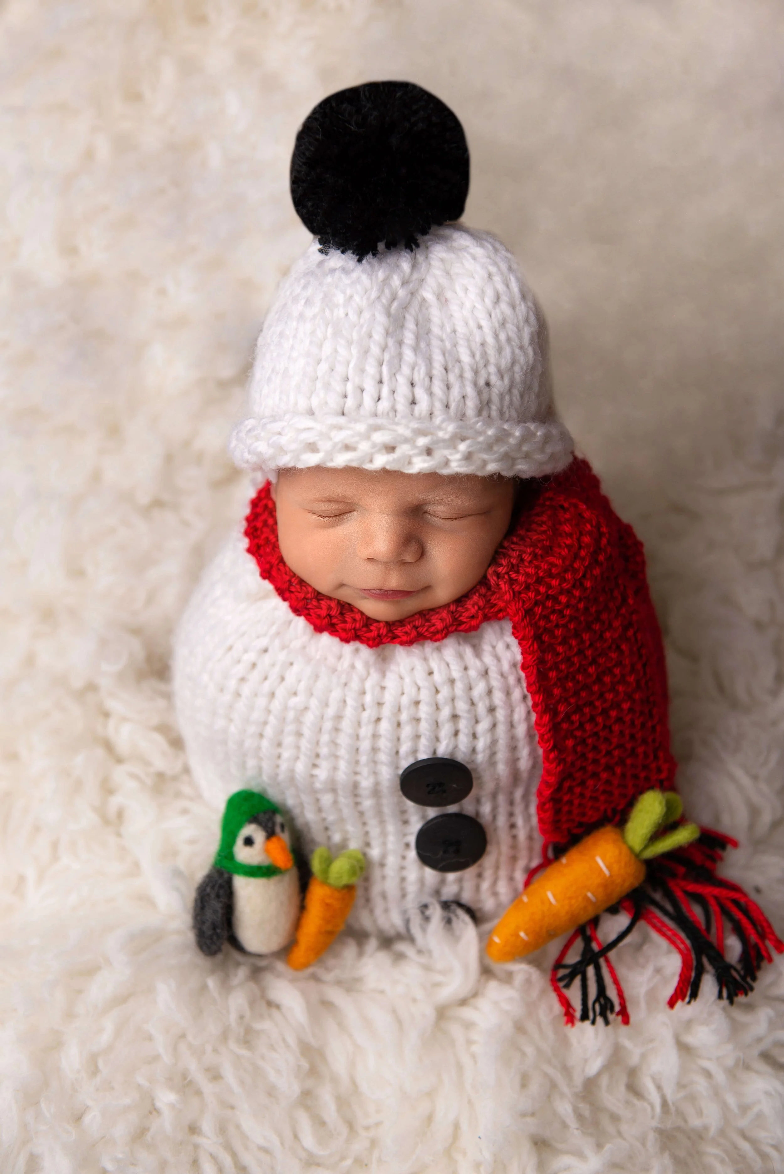 Toledo-Newborn-Photographer Connor (7).jpg