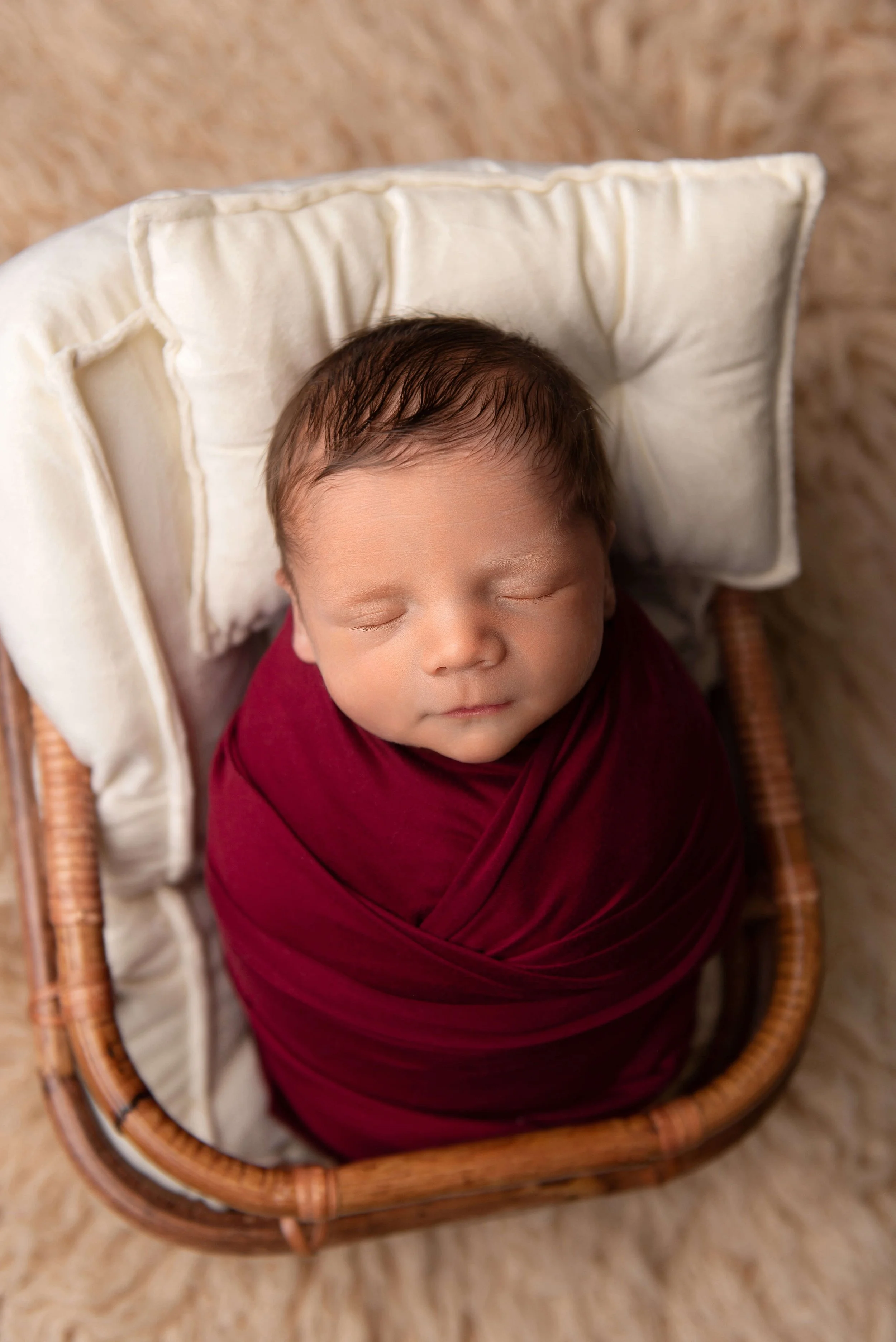 Toledo-Newborn-Photographer Connor (8).jpg