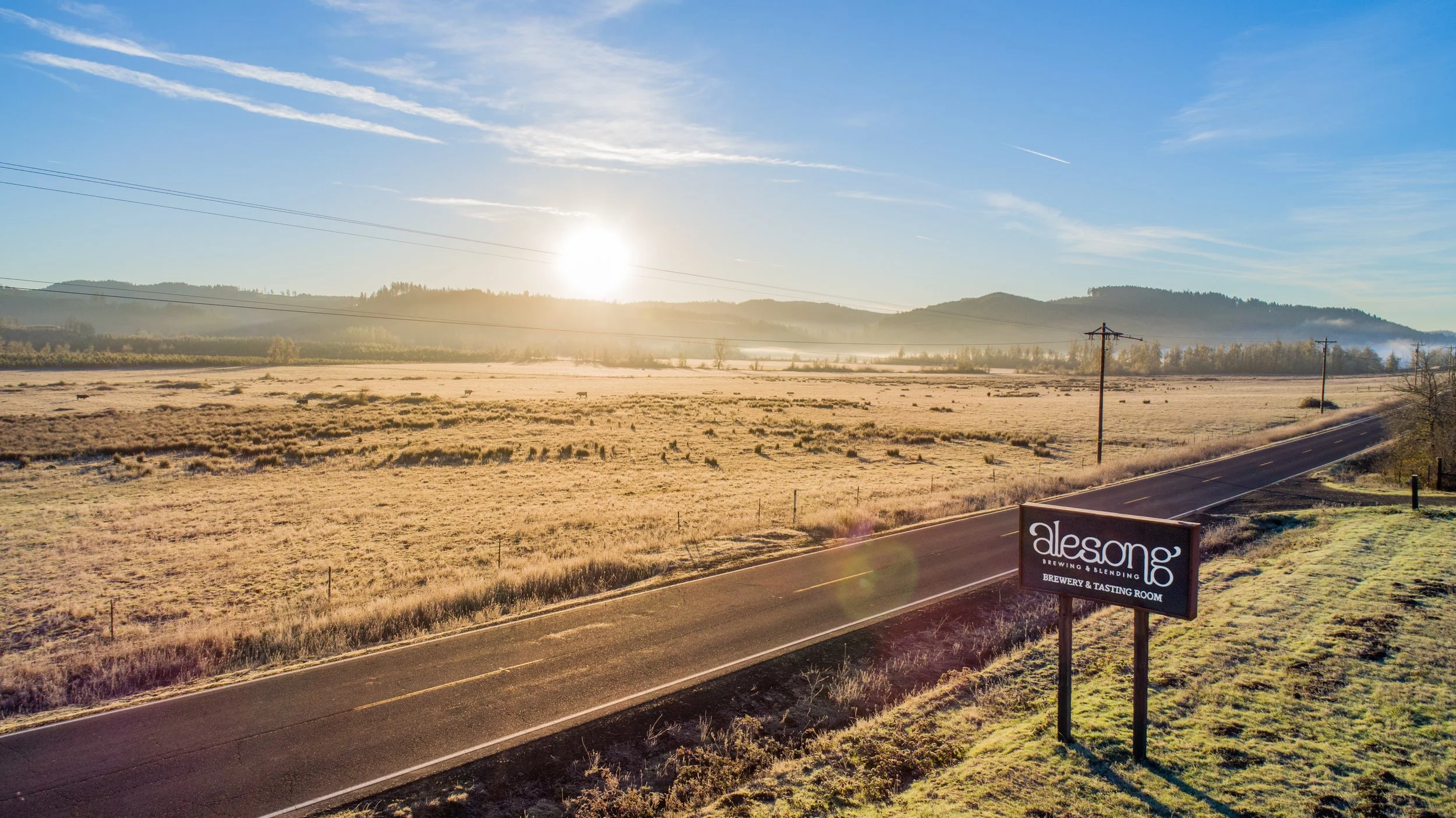 alesong-brewing-sign-with-view.jpg
