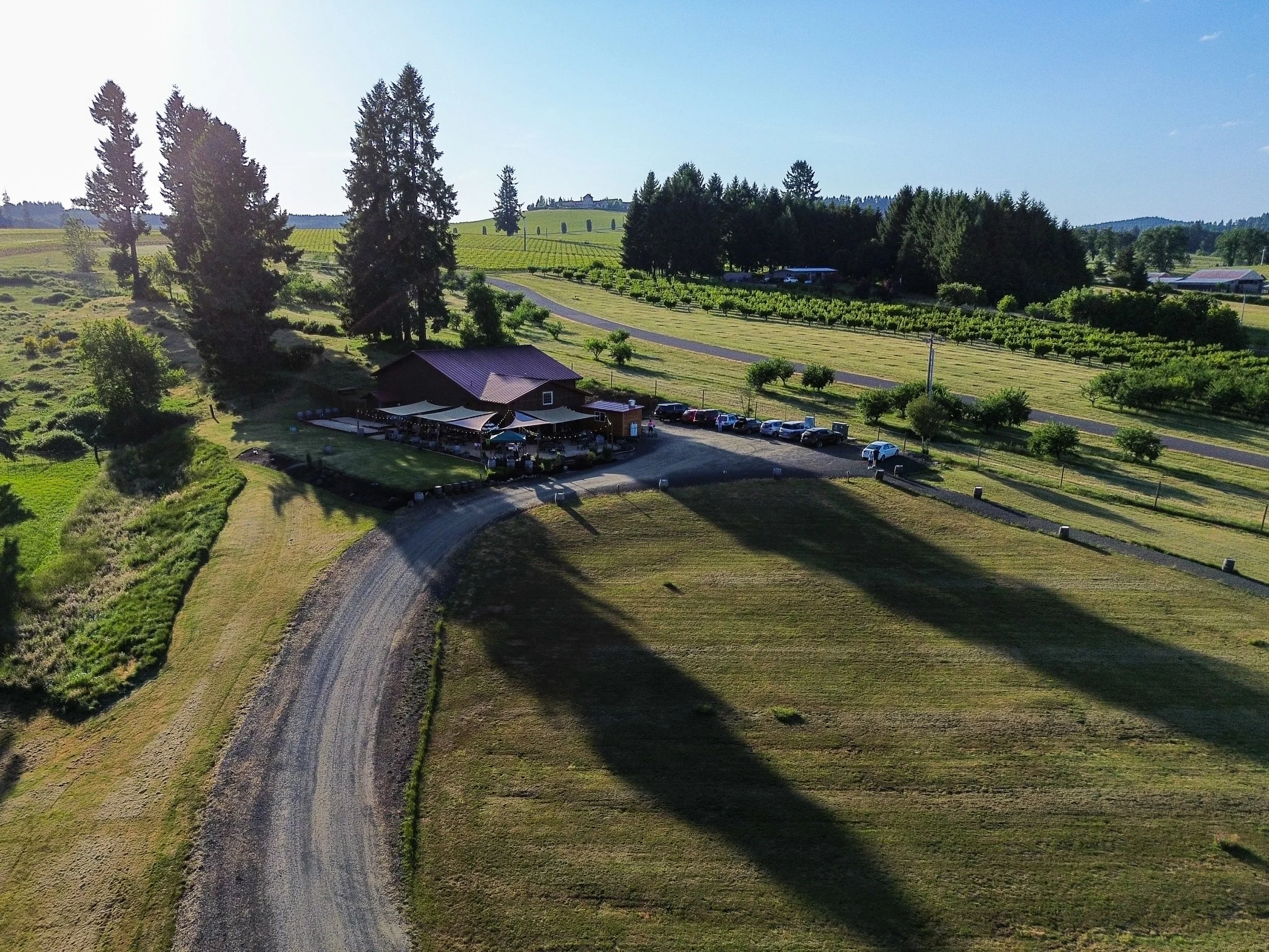 DJI_0161.jpg