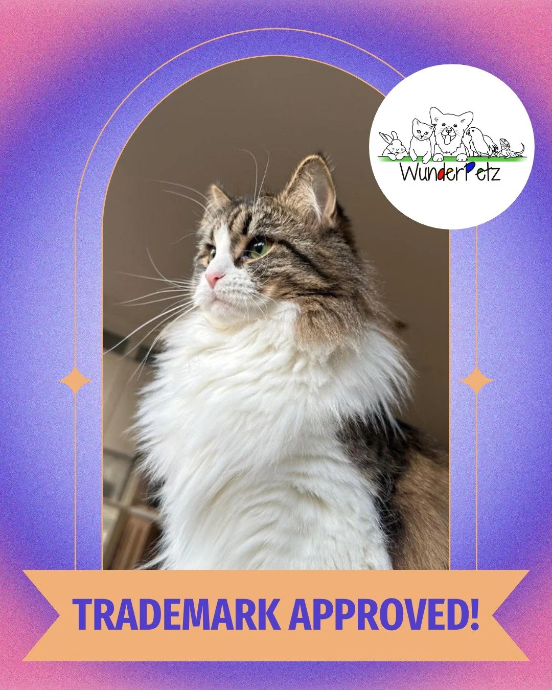 wunderpetz trademark was approved! 🎉 WunderPetz is a pet care company providing quality care in Vancouver WA, and specializing in building successful dog walking and pet sitting companies across the US.