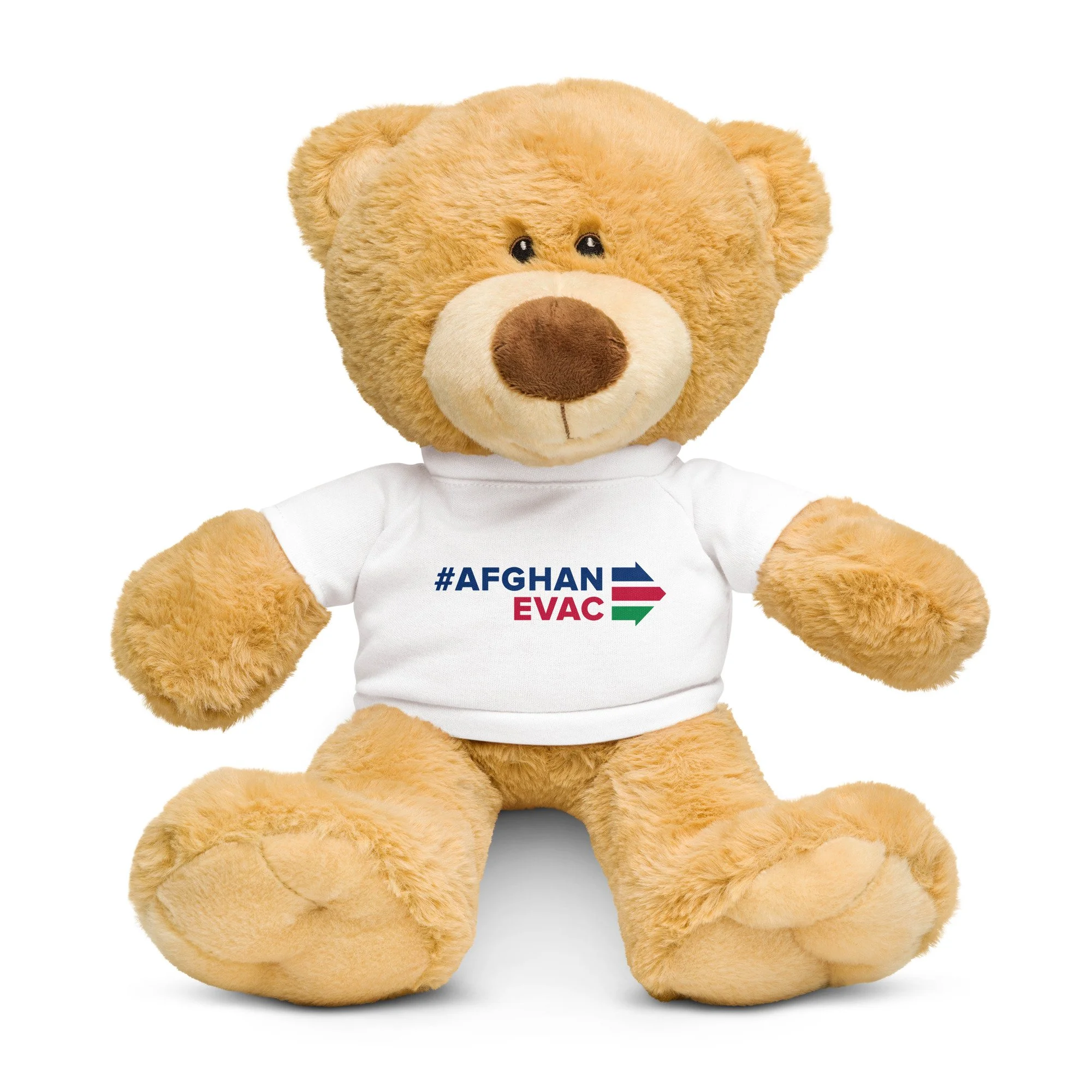 teddy-bear-with-a-t-shirt-white-front-6a12590534f80.jpg