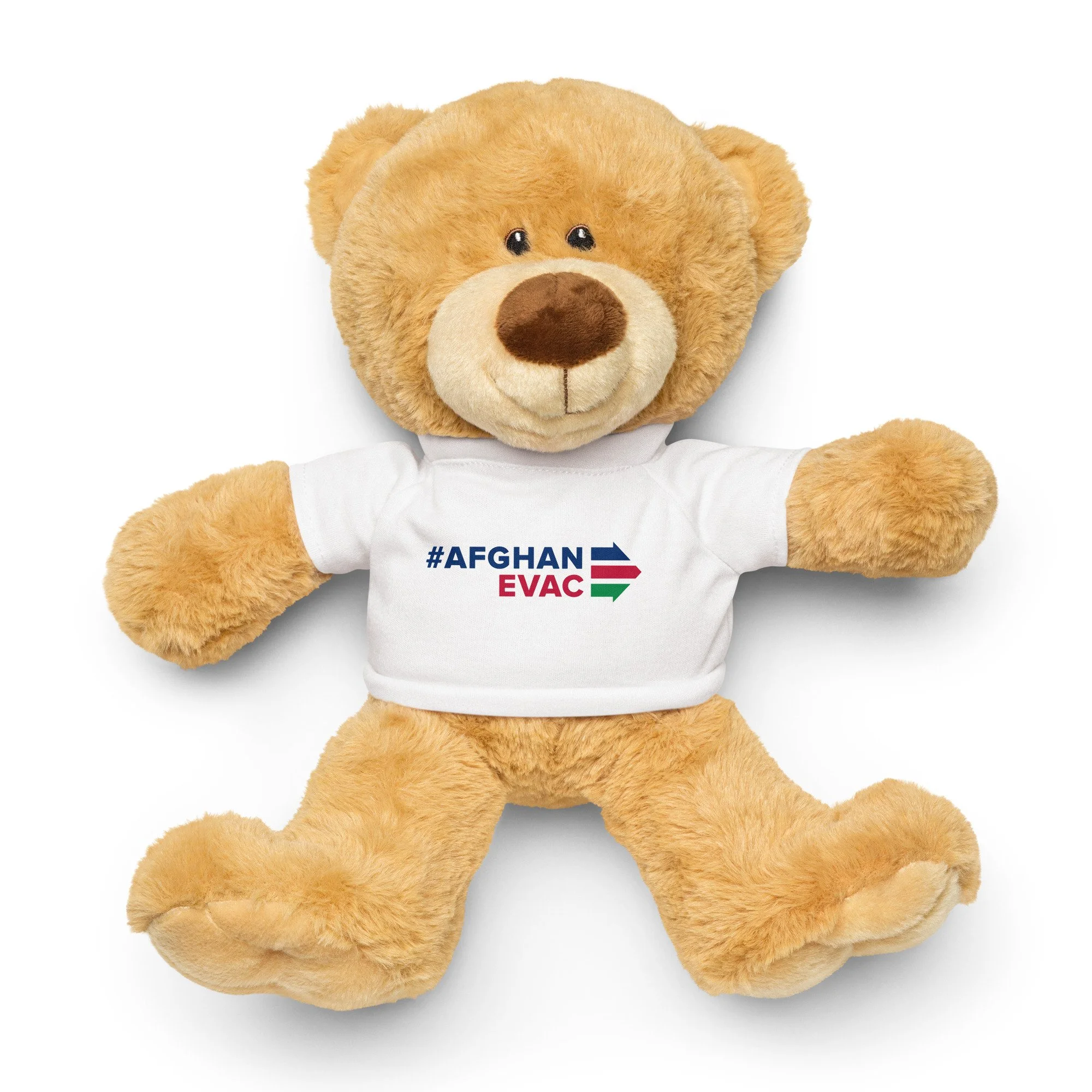 teddy-bear-with-a-t-shirt-white-front-6a12590535a12.jpg