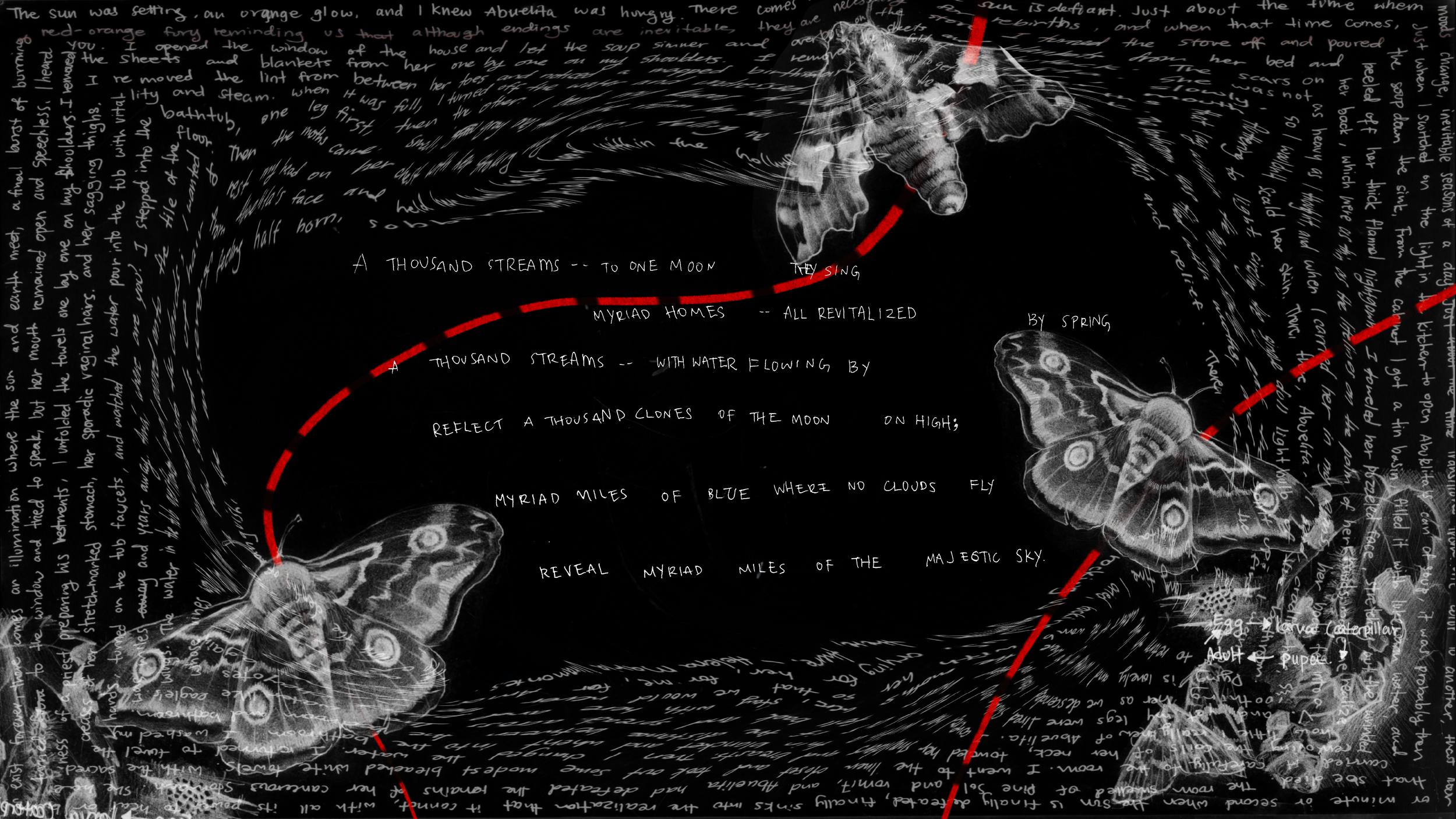 JCFW2021 Continui Slides2.png