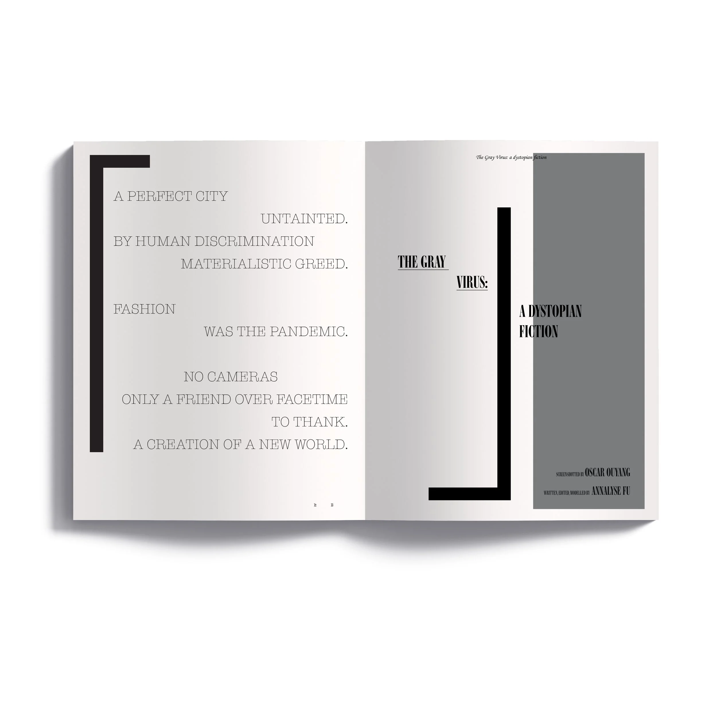 grayvirus1 oct20.JPG