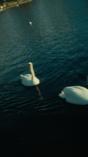 Isobel2gif.gif