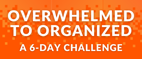 Image for Overwhelmed to Organizeed
