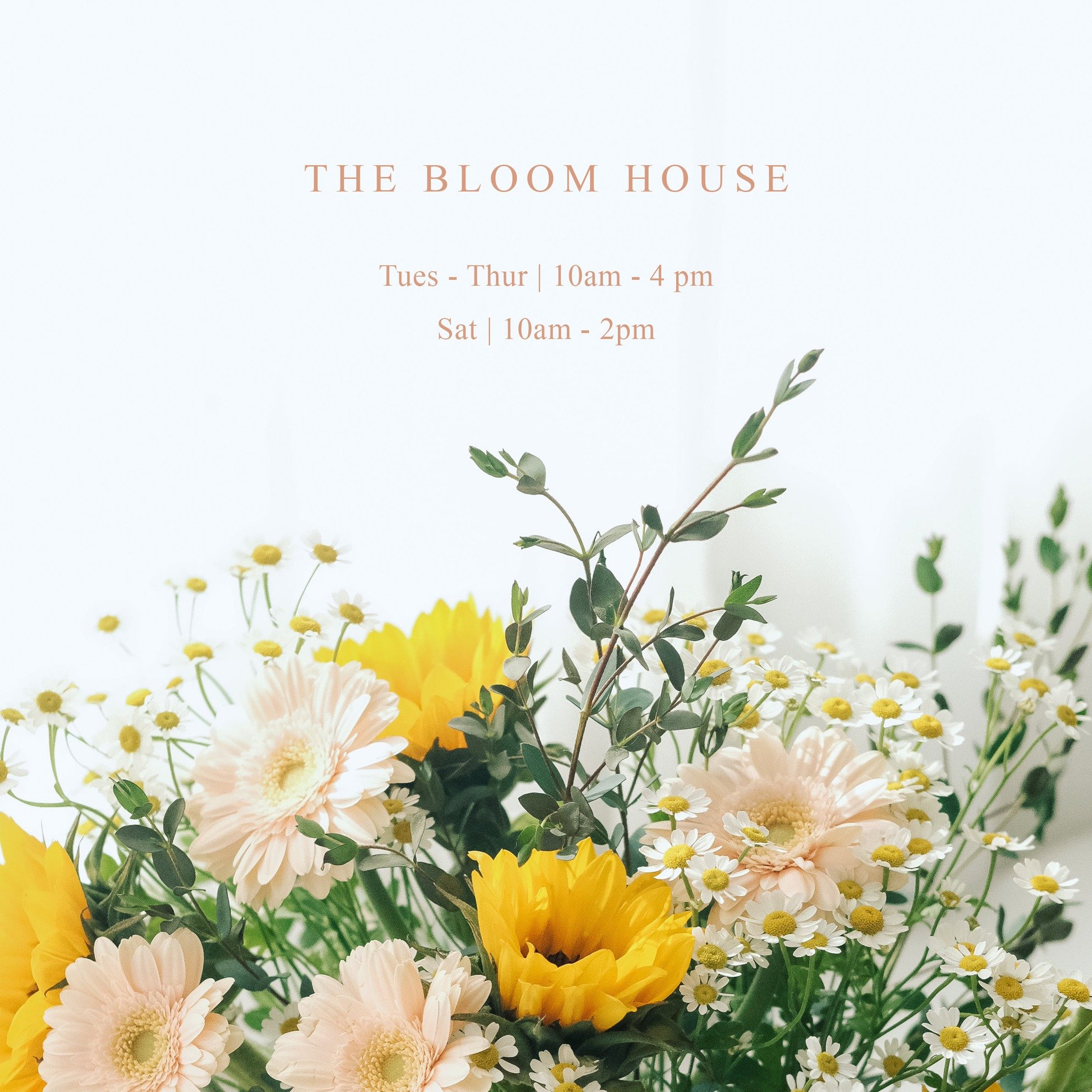 The Bloom House is open today! 

Stop in and say hello! 

🚩 5005 Southside Drive