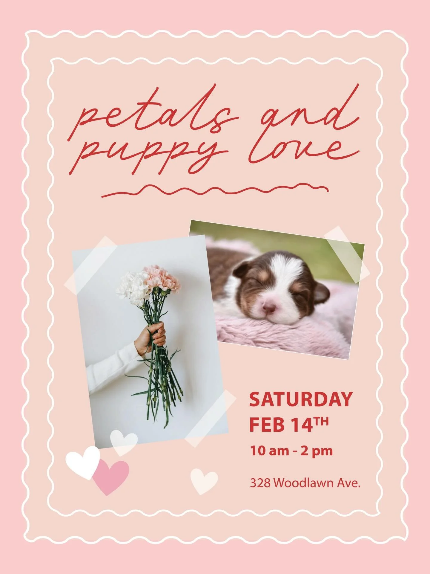 WHO WANTS TO CUDDLE A PUPPY?! 🐶 ❤️ 

This Valentine&rsquo;s Day, Kelsey will have her brand new Aussie pups at the shop for a fun day of cuddles while shopping our curated Valentine&rsquo;s section! 

Each purchase that day will also receive a flowe