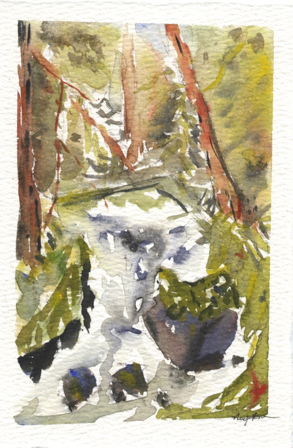 Sol Duc Falls Lover's Lane 