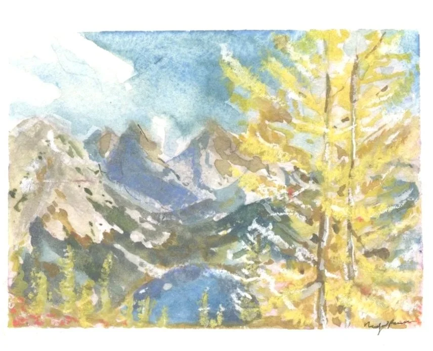 Pacific North West Portfolio