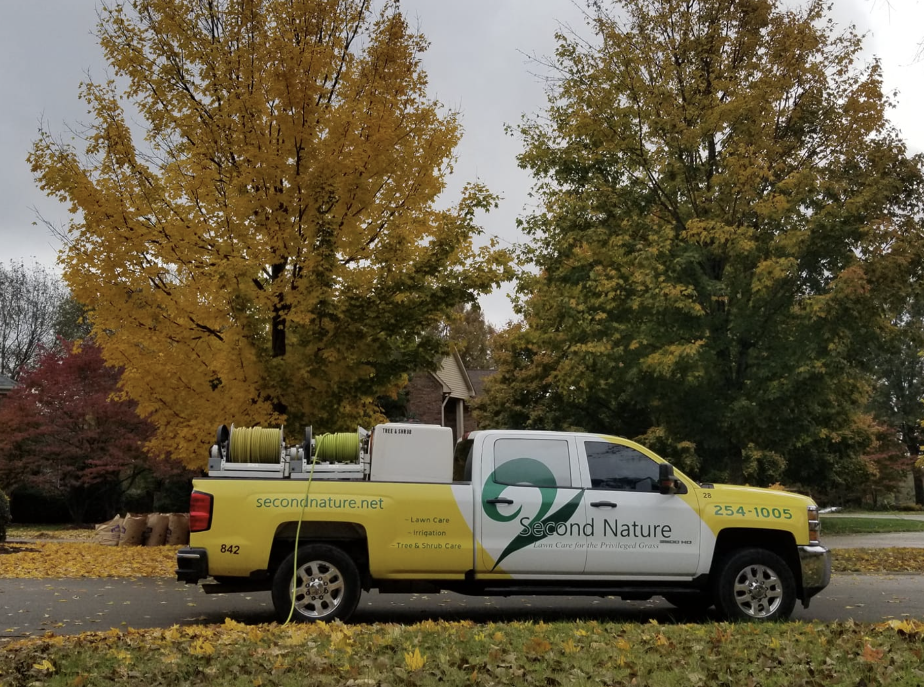 crabgrass control service