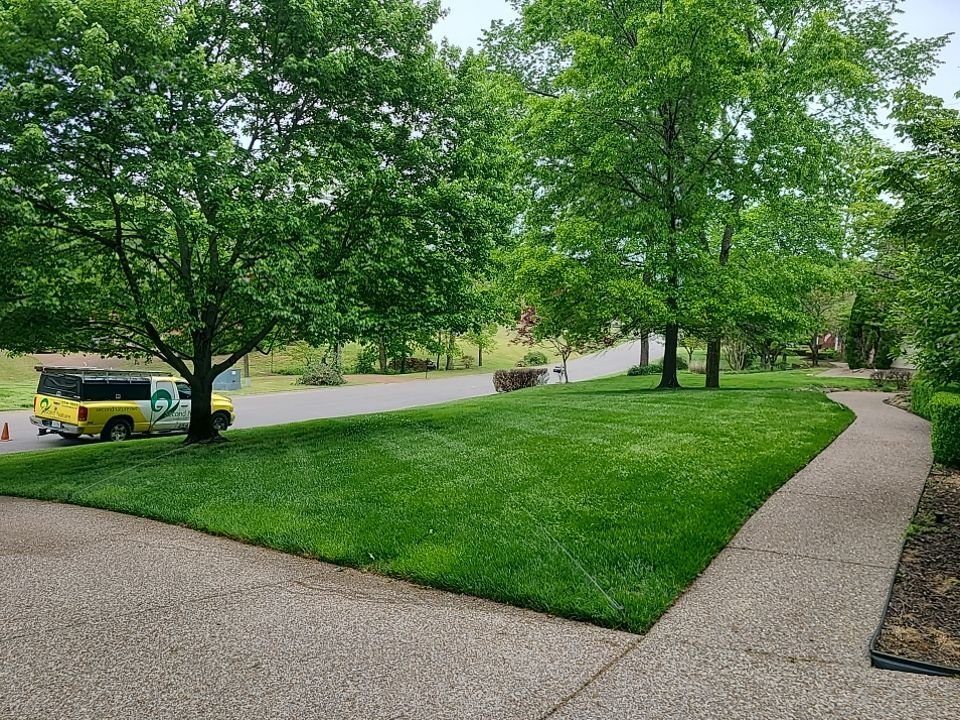 tree services near me in mt. juliet, tn