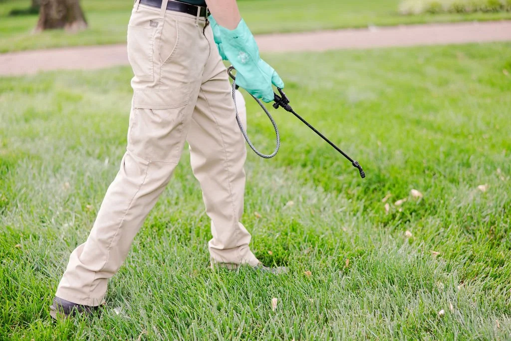 Treating for fleas, ticks, mosquitos, grubs, and other pests by hand on customer lawn