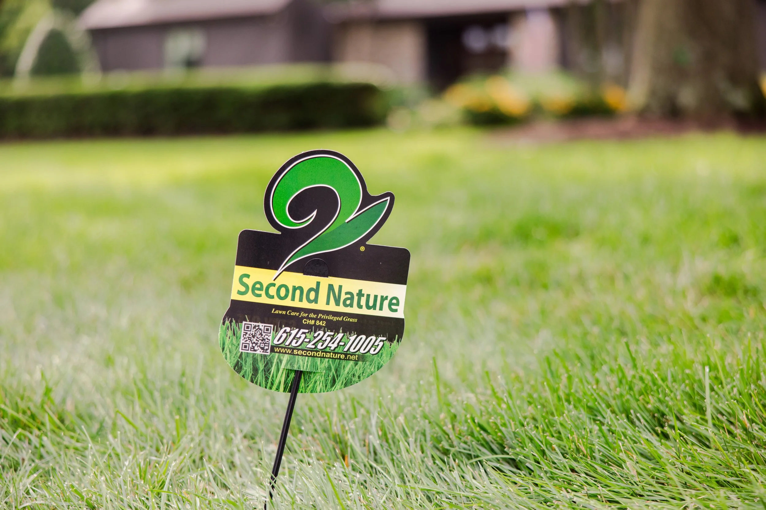 nutsedge killer & weed killer murfreesboro tn