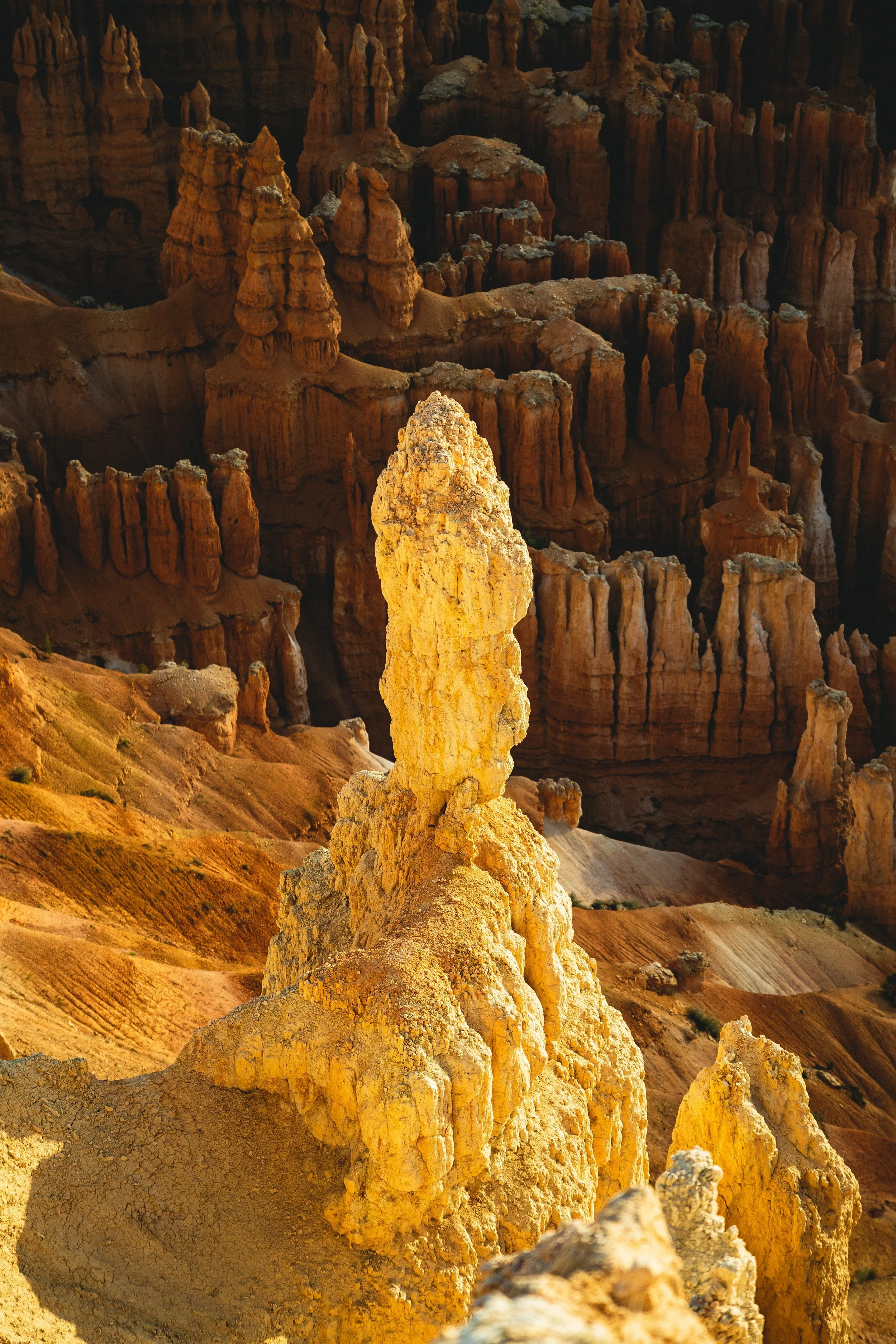 Landscape40.jpg
