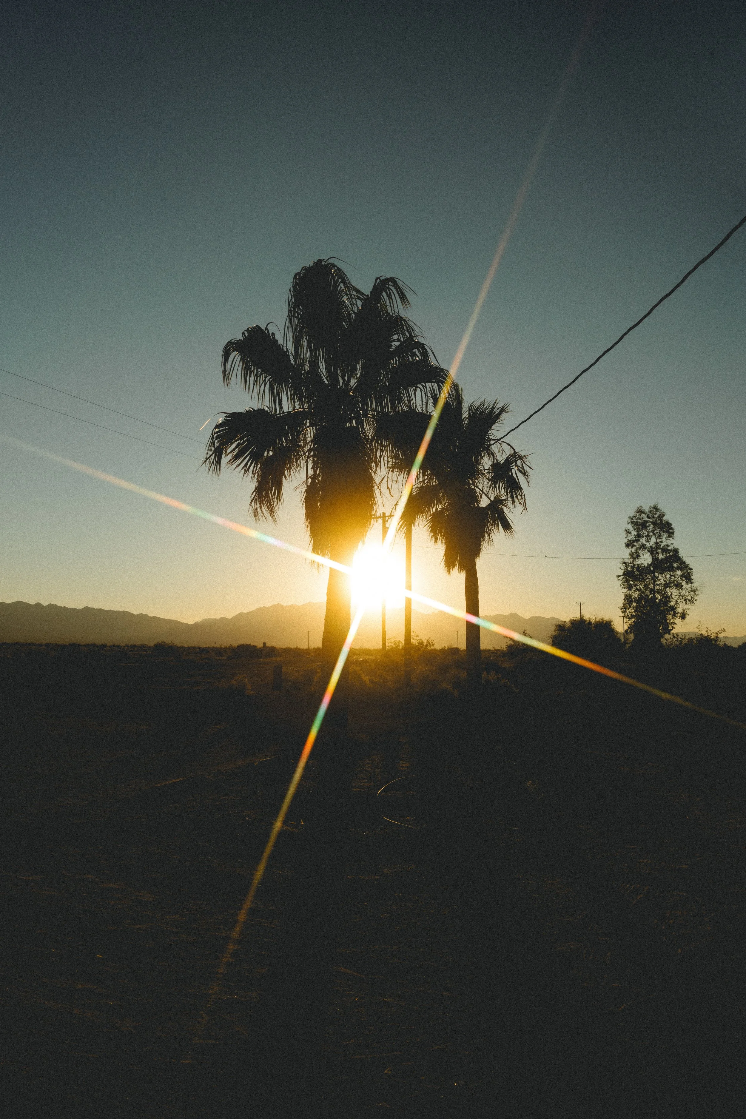 Landscape1.jpg