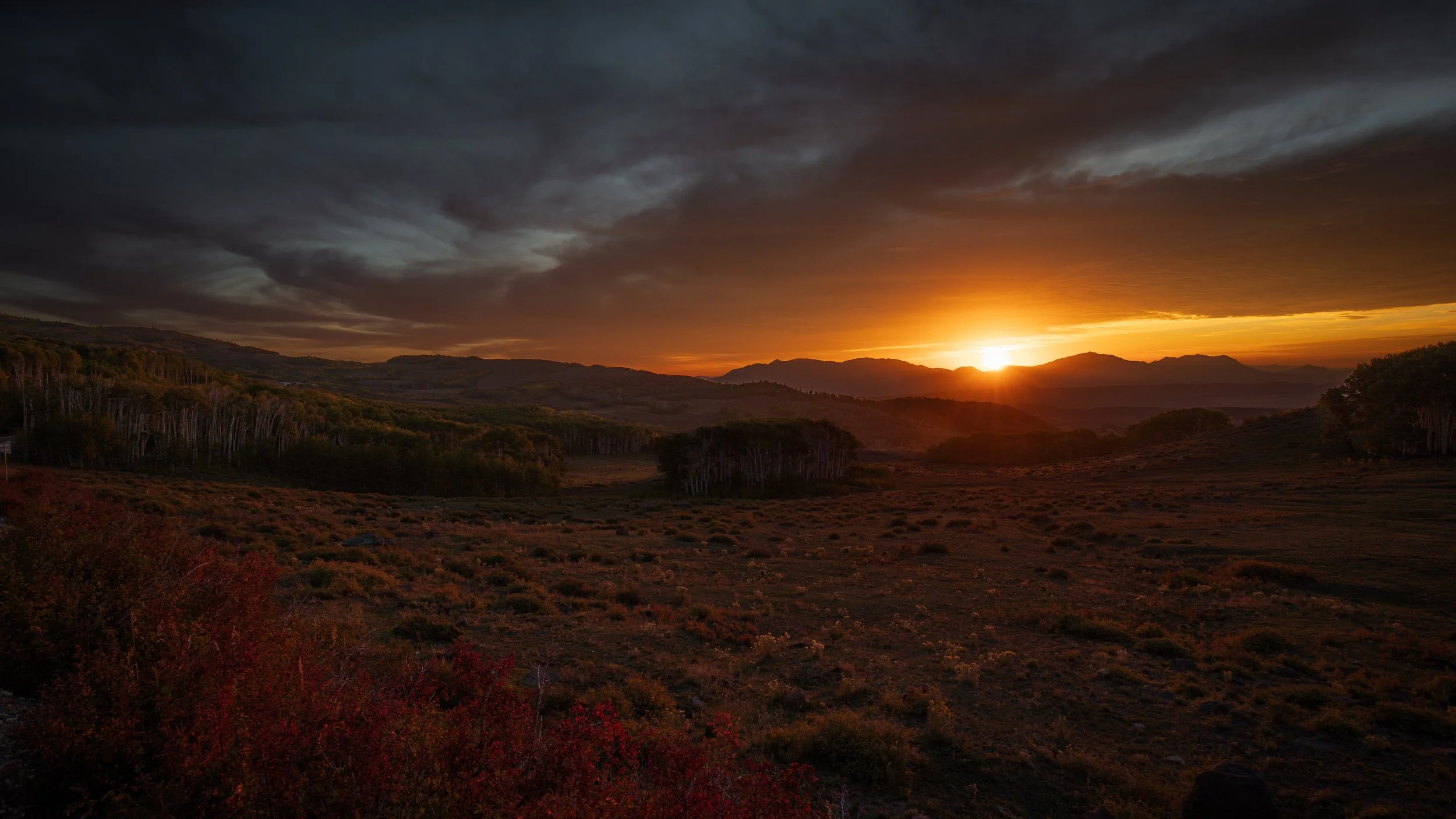 Landscape15.jpg
