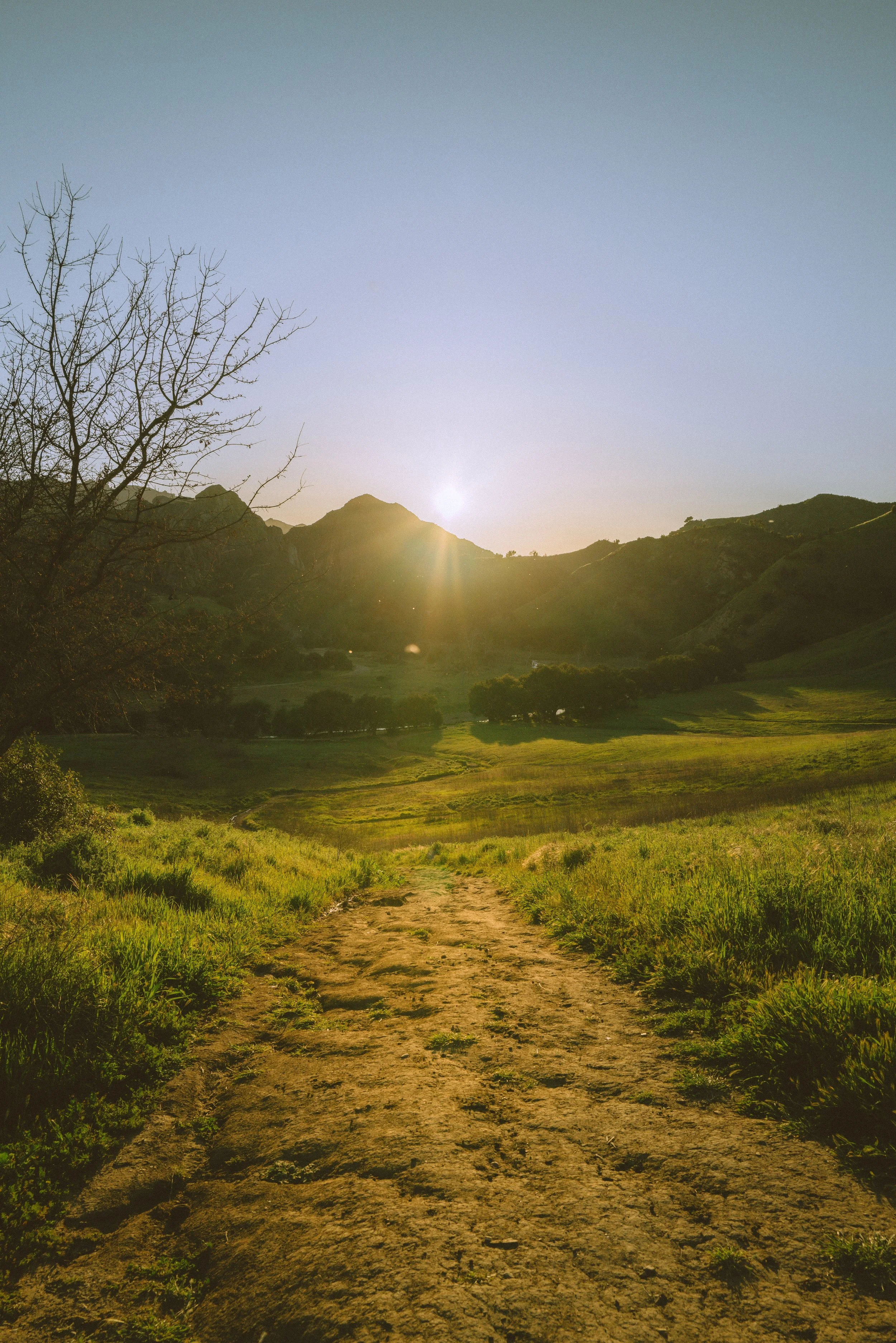 Landscape29.jpg
