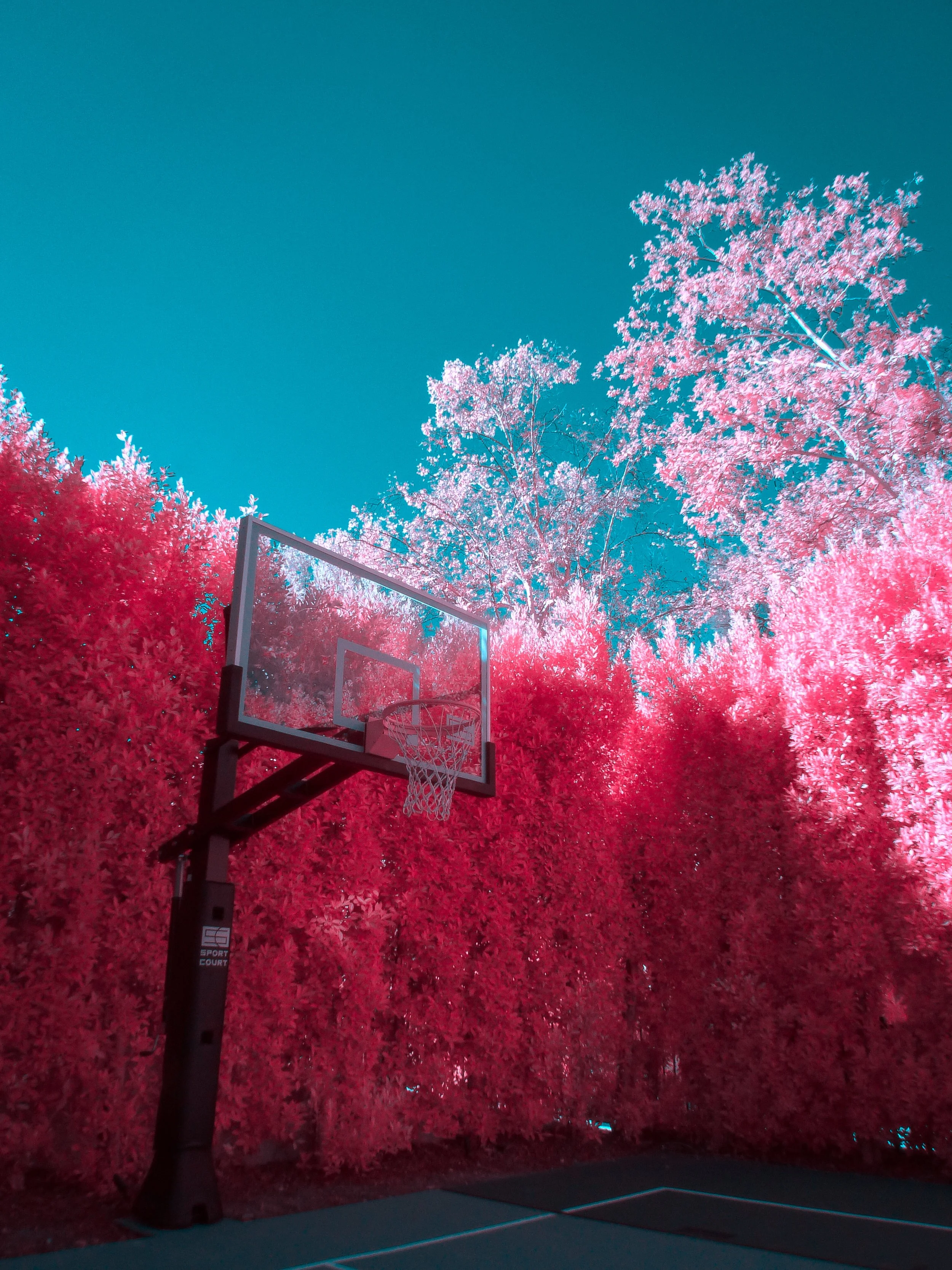 landscape50.JPG