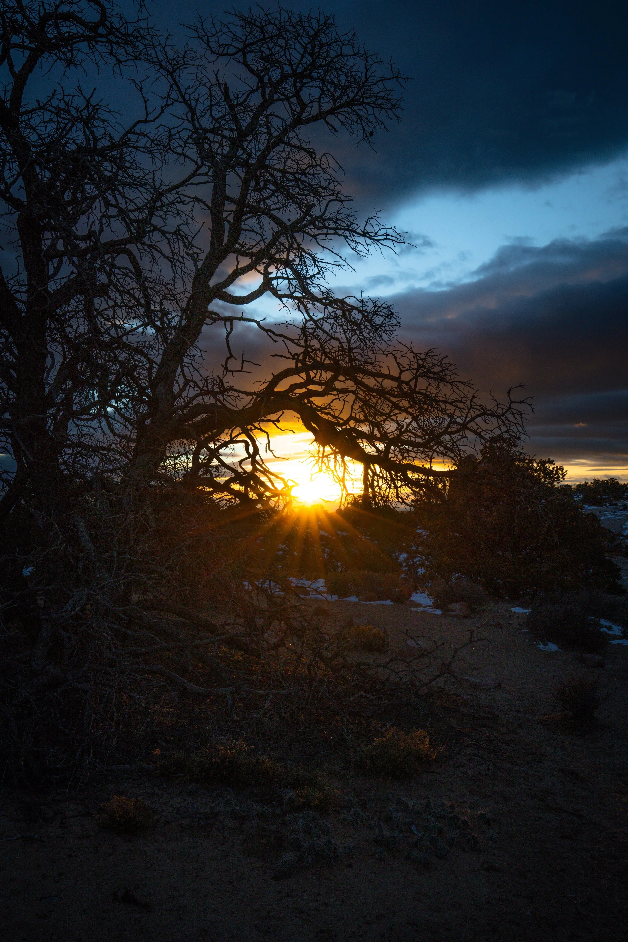 Landscape24.jpg