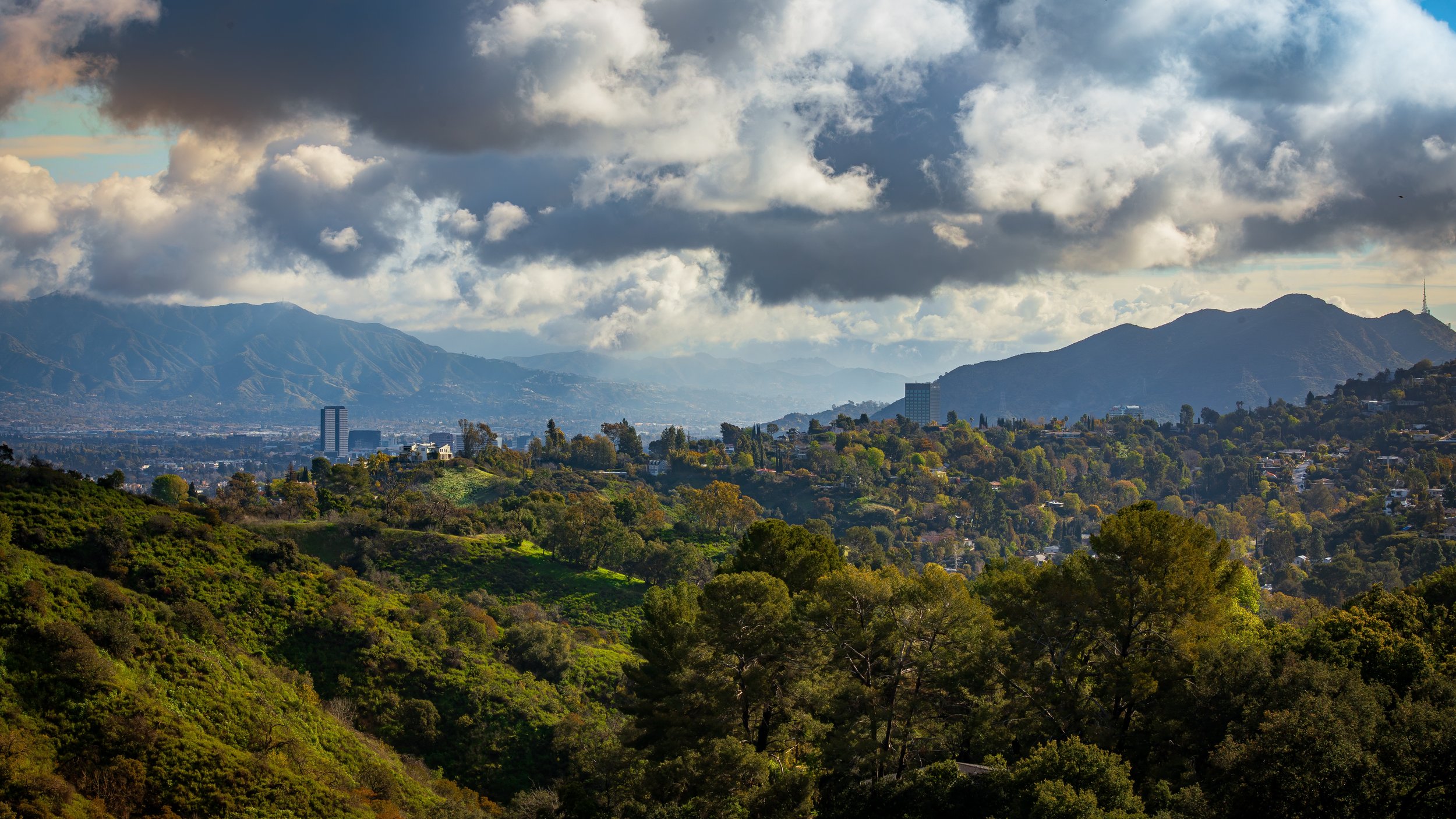 Landscape10.jpg