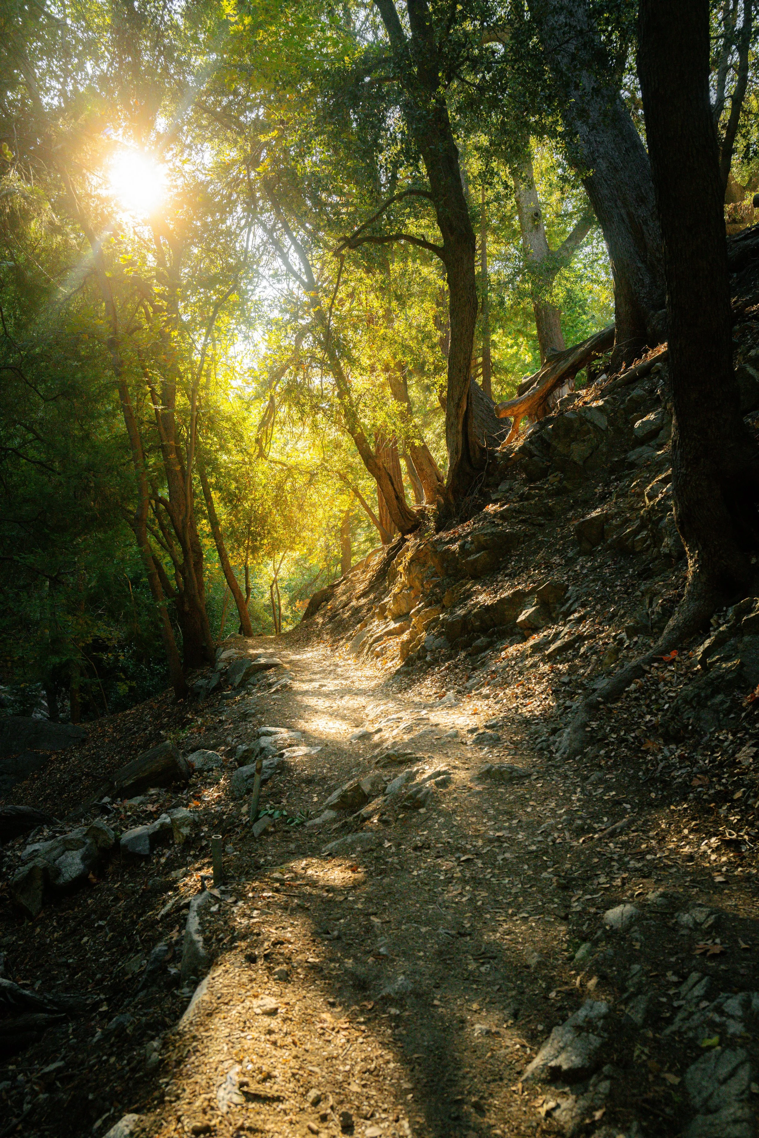 Landscape6.jpg