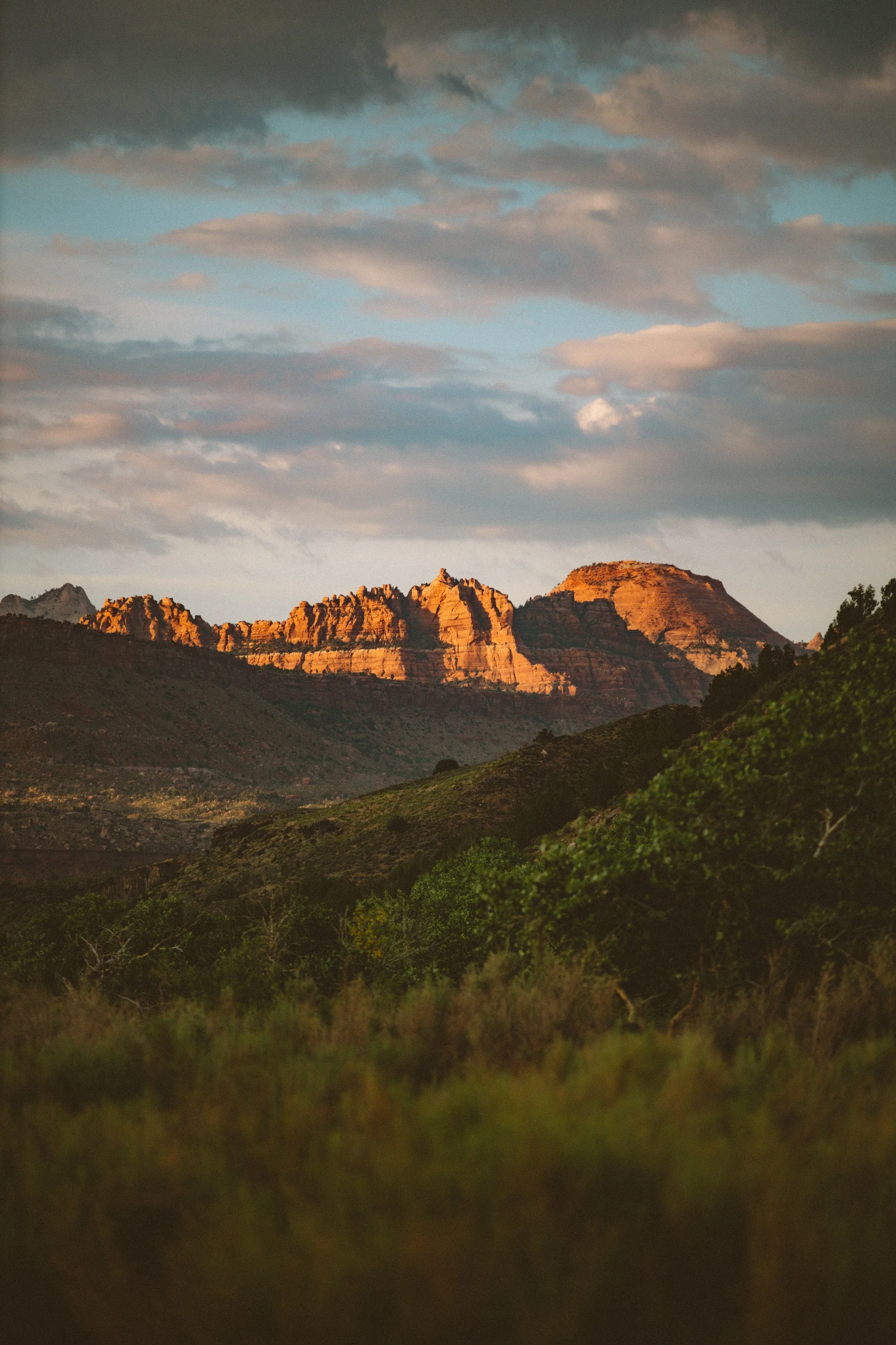 Landscape41.jpg