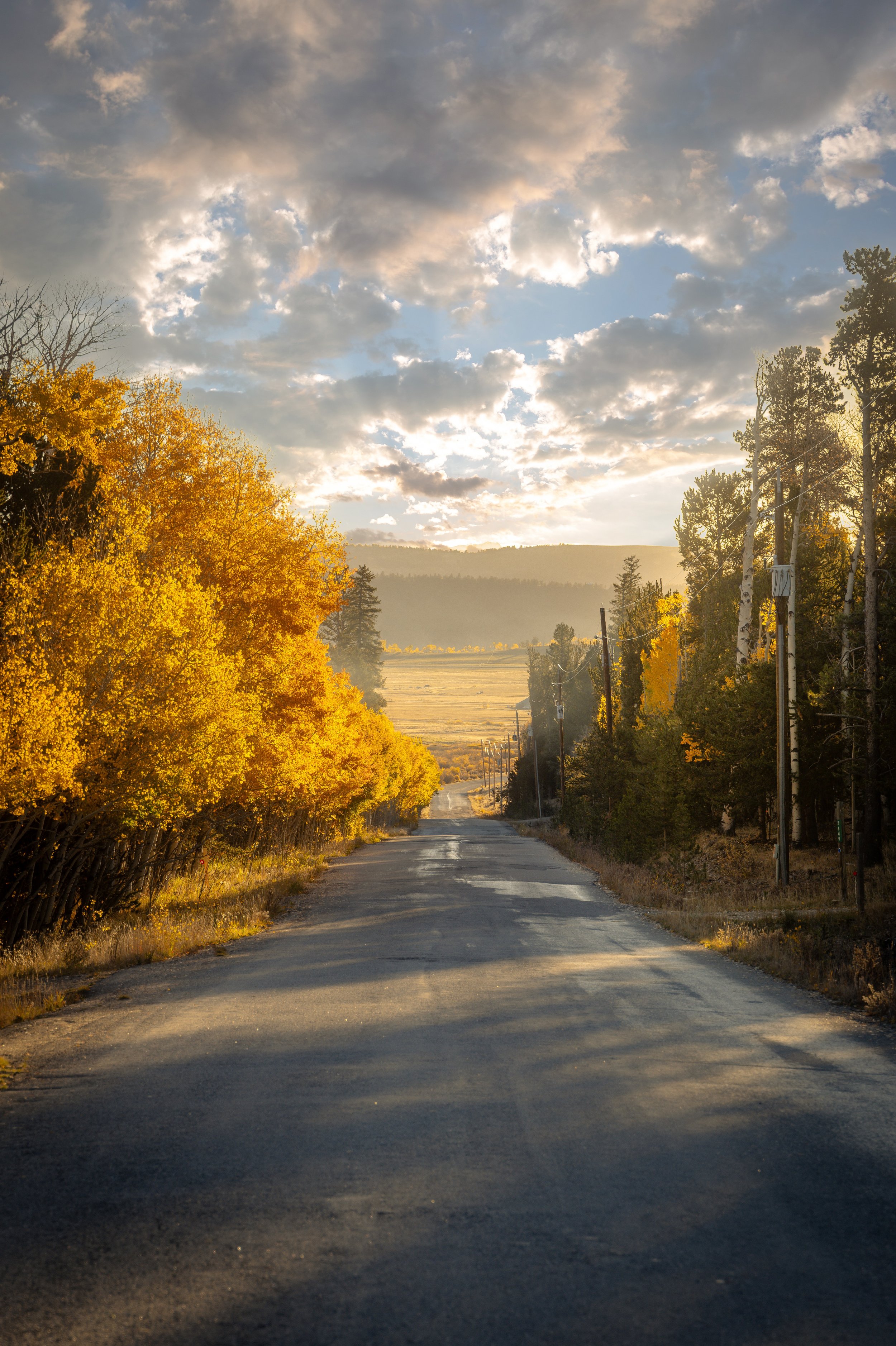 Landscape4.jpg
