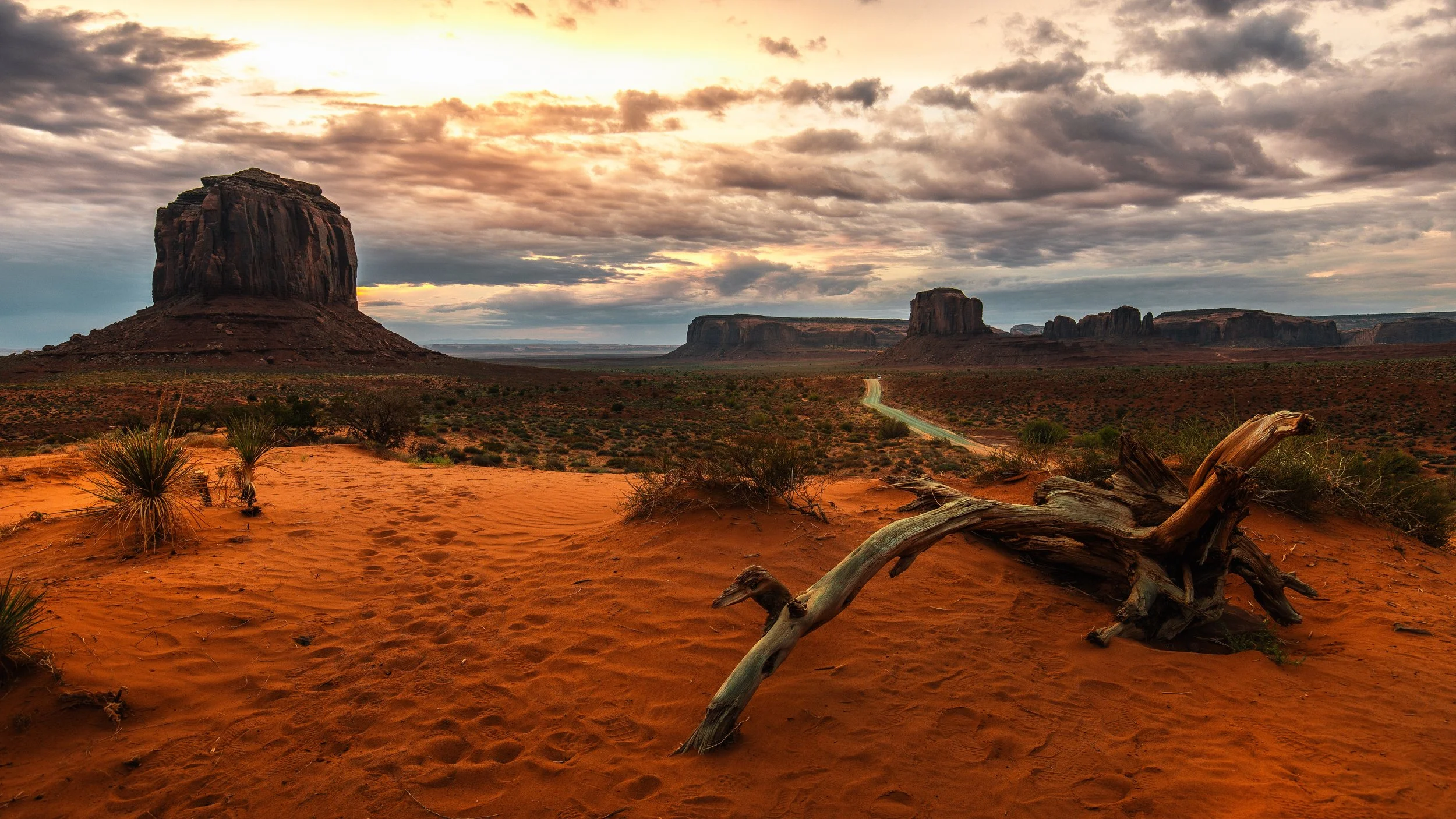 Landscape17.jpg