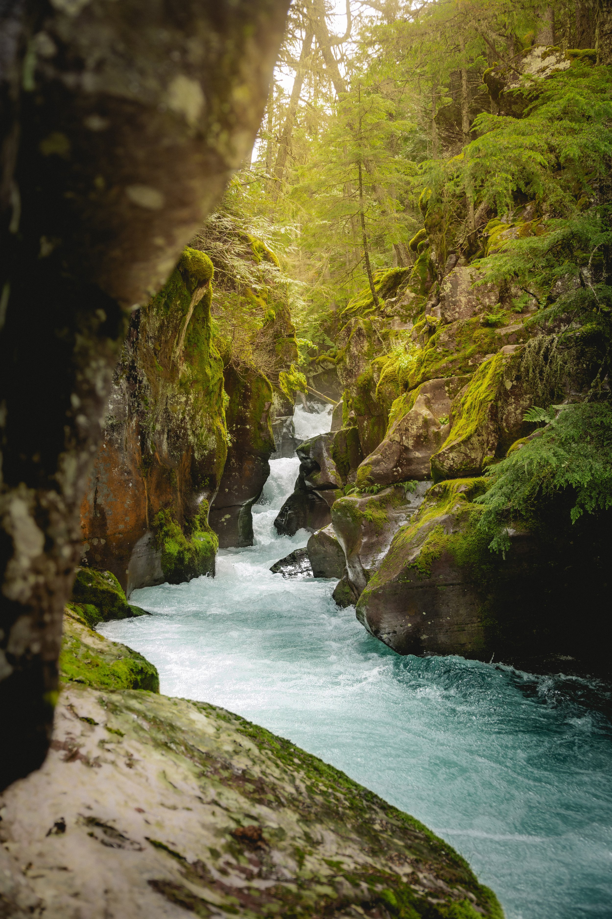 landscape59.jpg