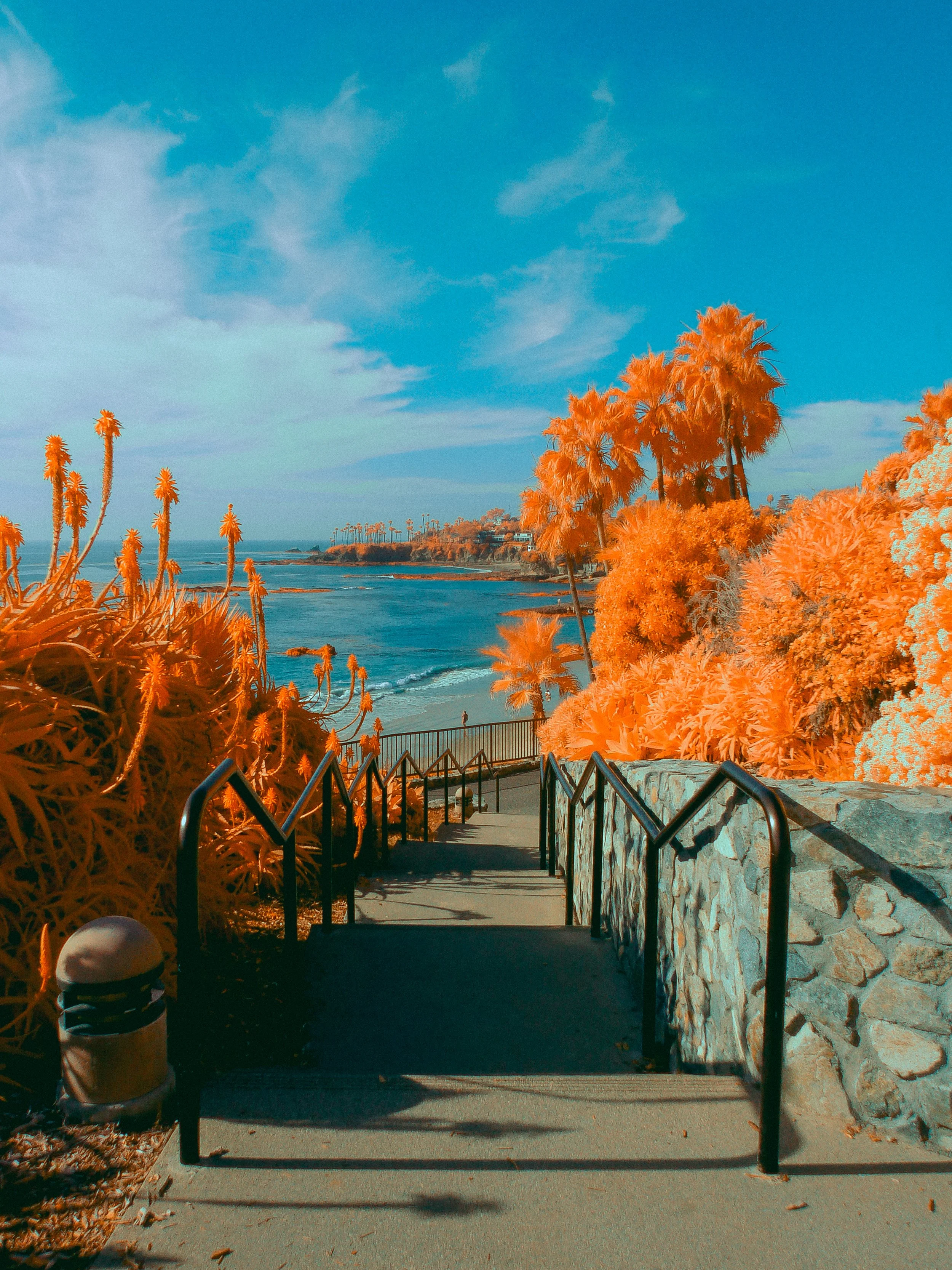 landscape46.jpg