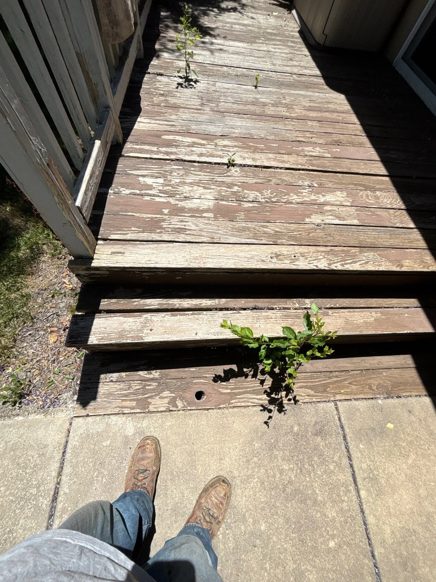 Old worn and split deck ramp with weeds before deck rebuild in Sacramento