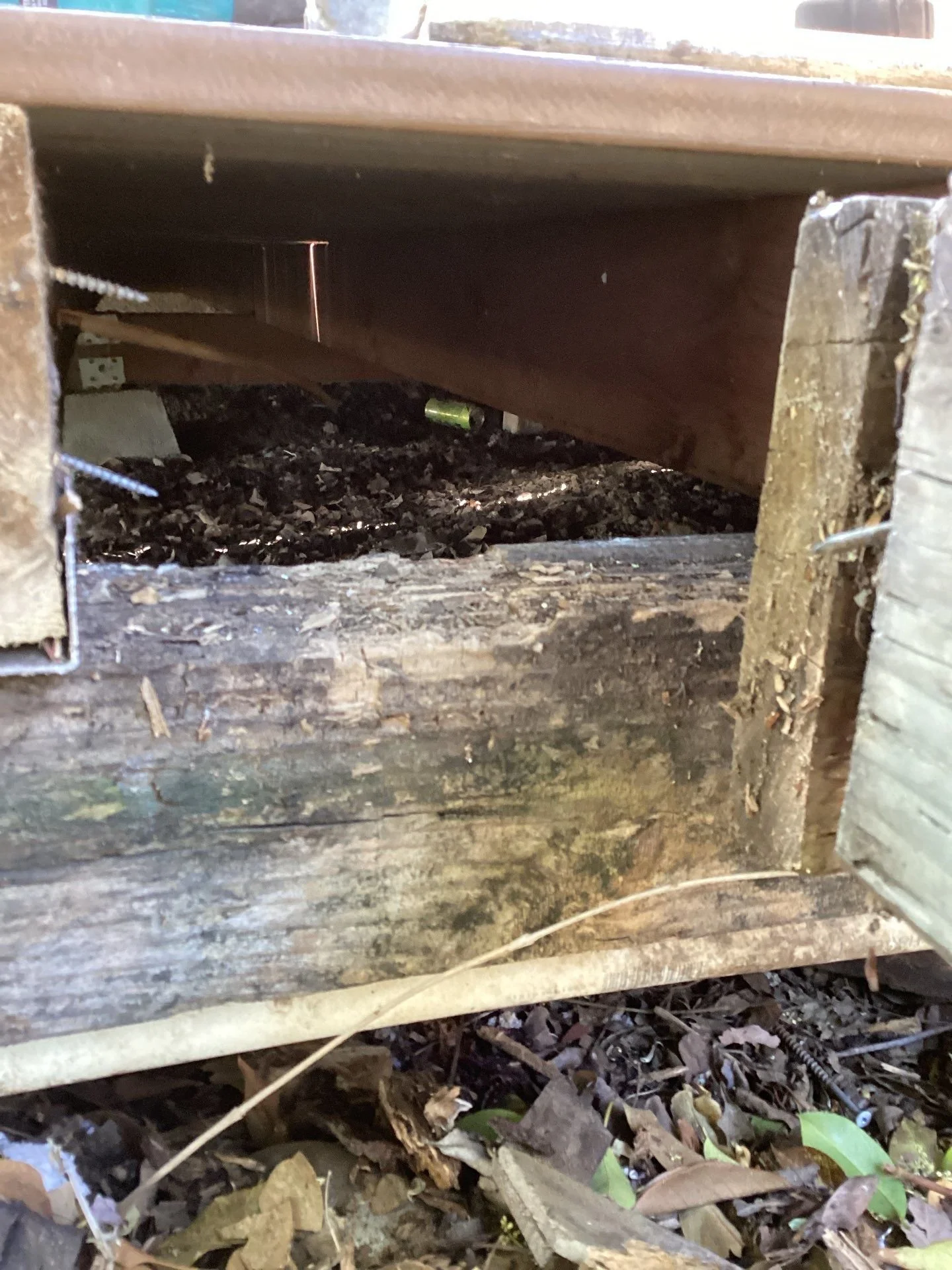 Rotted wood under an old deck before rebuild in Sacramento