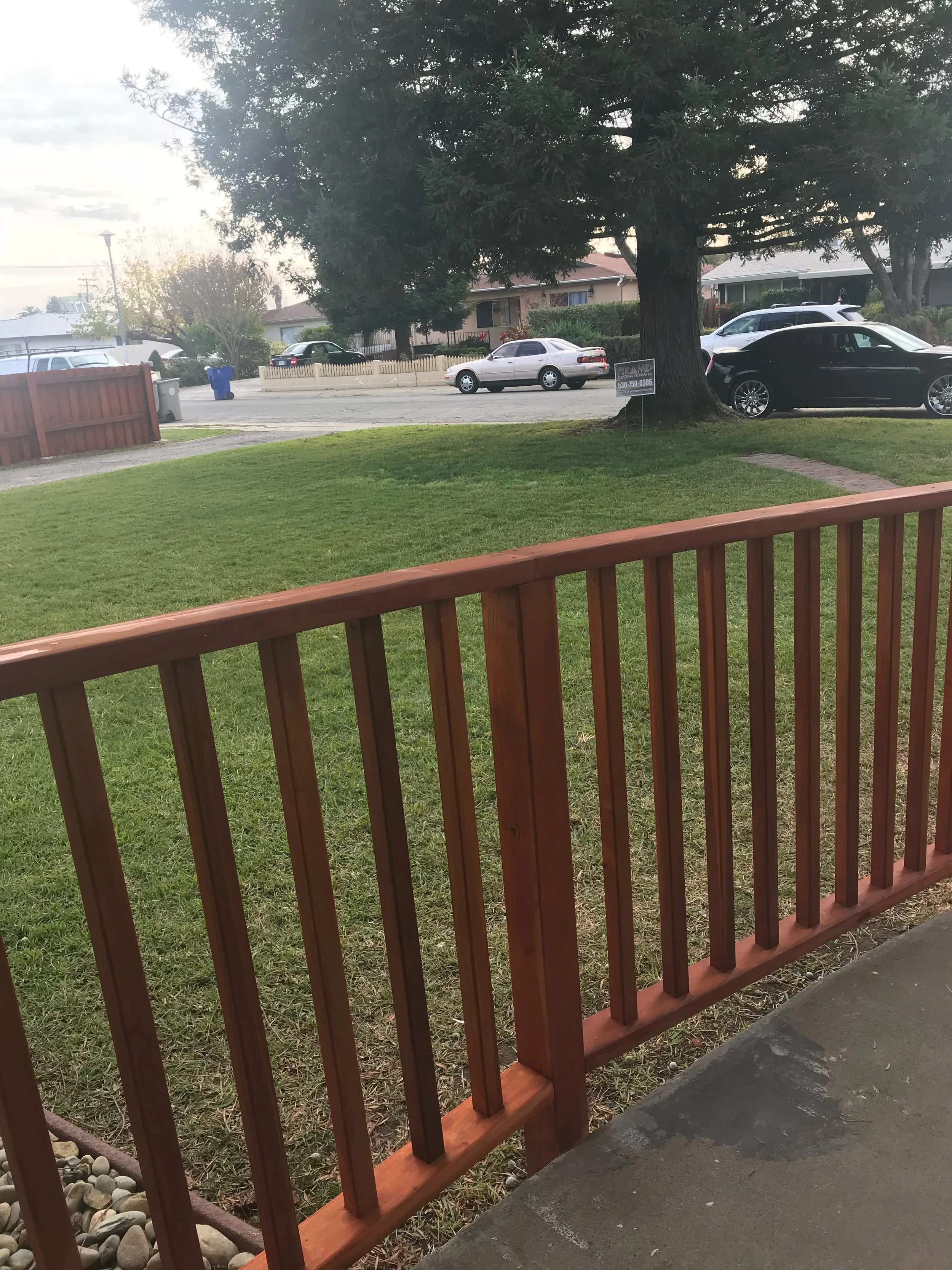 IMG-5572-Original (1).jpg