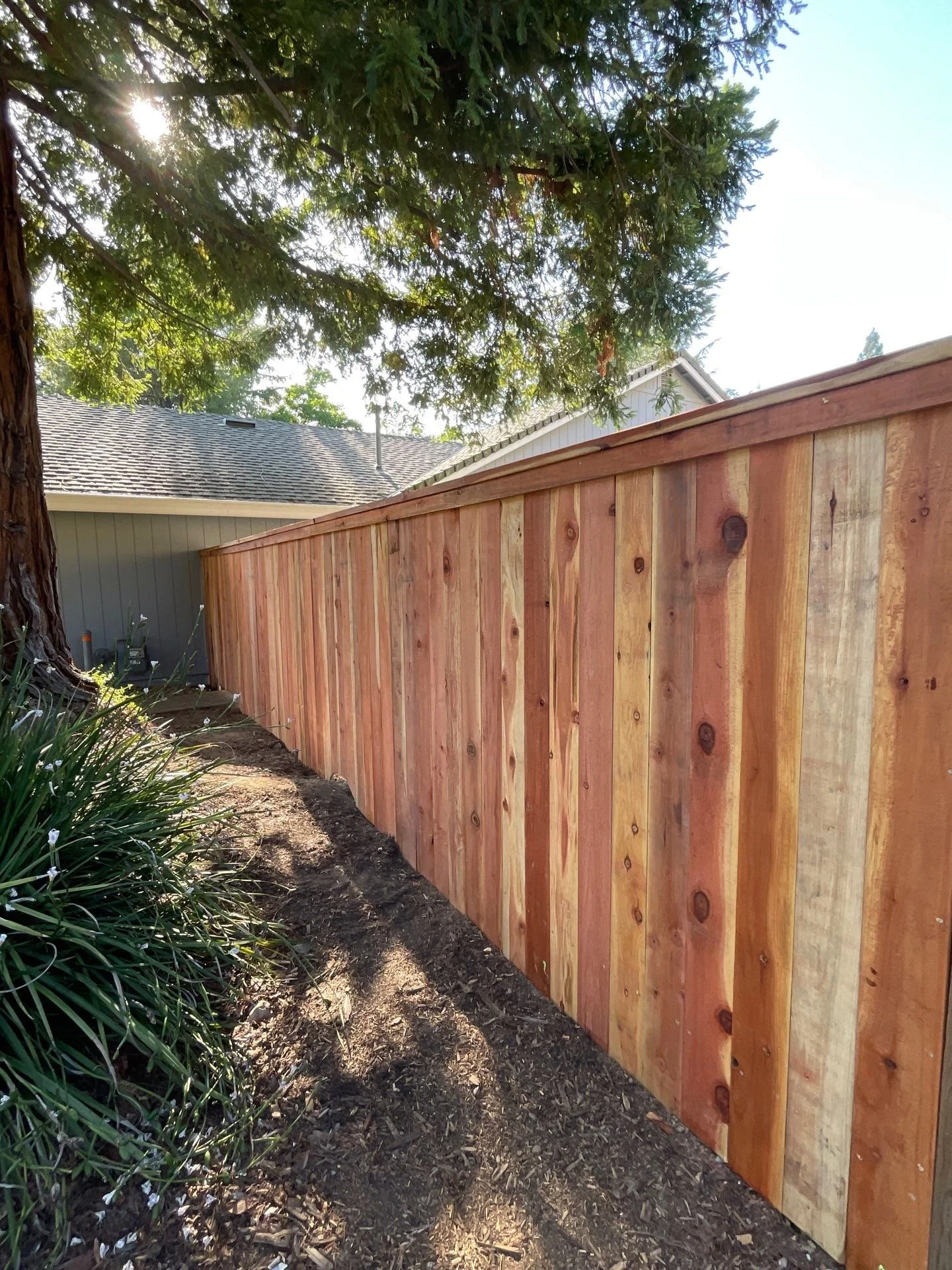 4-Jun 12 2024 05_29pm-J81j.jpg