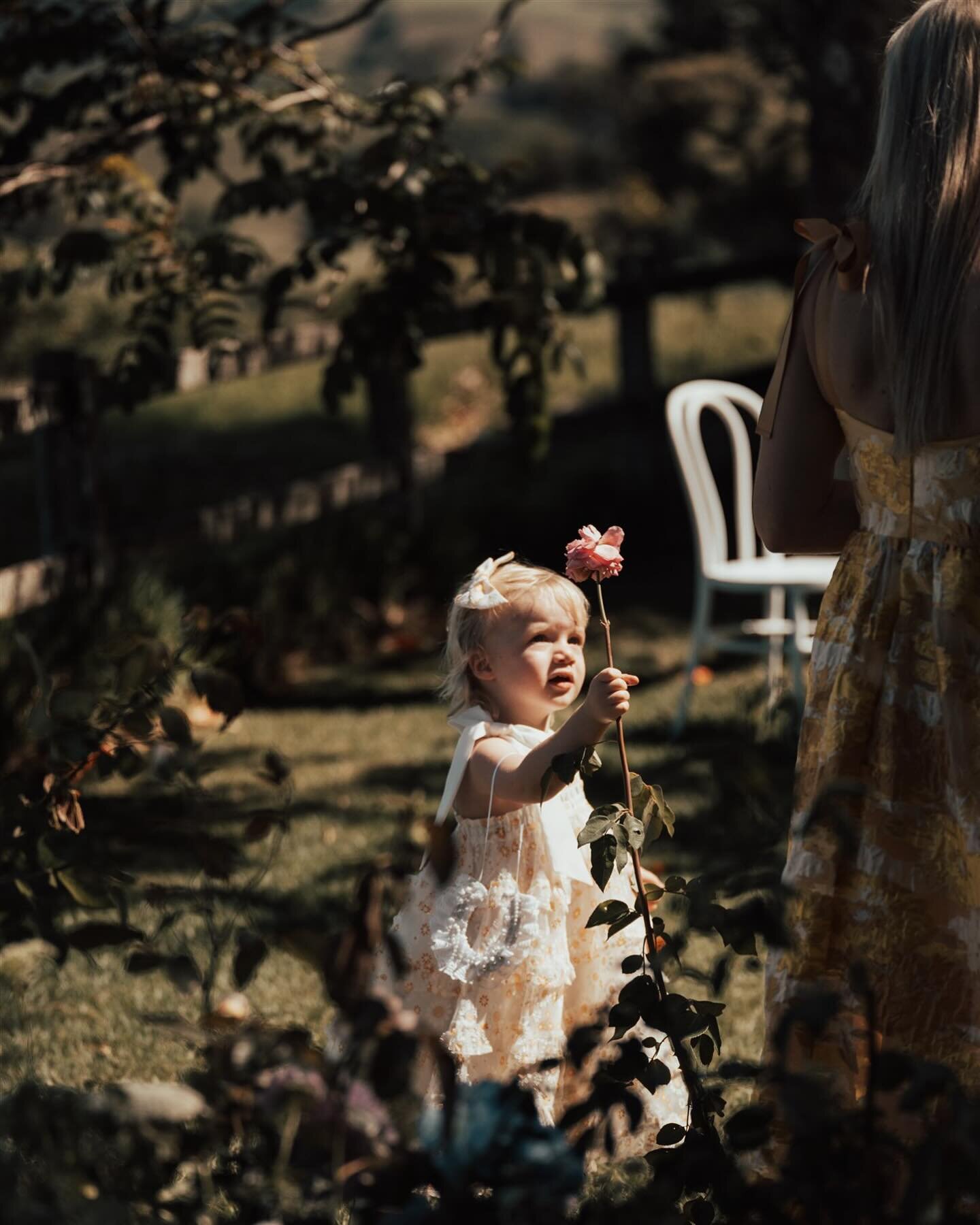 The only time I&rsquo;ll pause mid way through a ceremony is for a medical emergency, rain, or when a little honey picks a flower from the floral nest and gives it to me 

🍯 🌷 Ah, my heart melts 

@byronbayweddings 
Venue @byronviewfarm 
Photograph