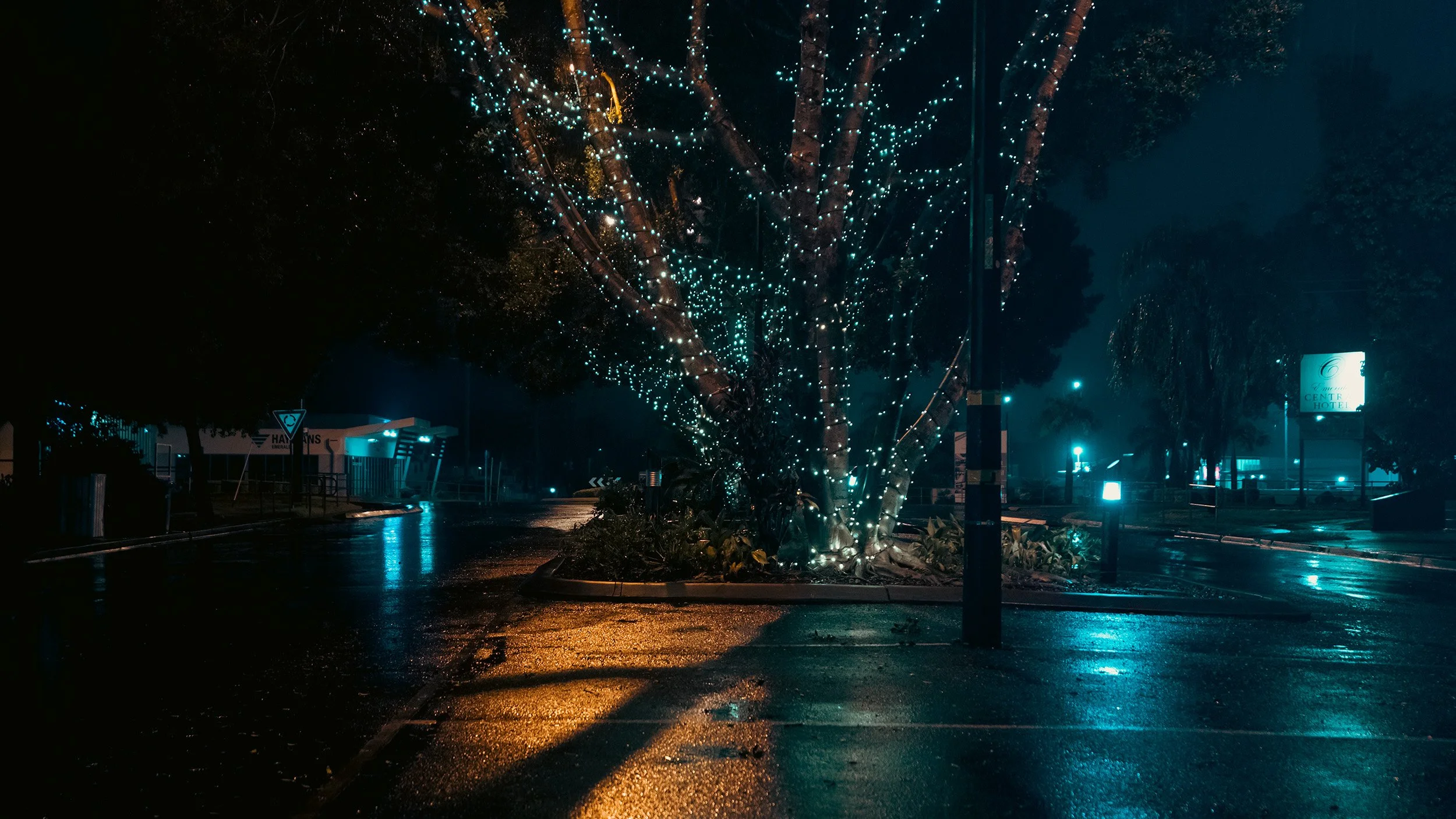 2026 Orange and teal .jpg