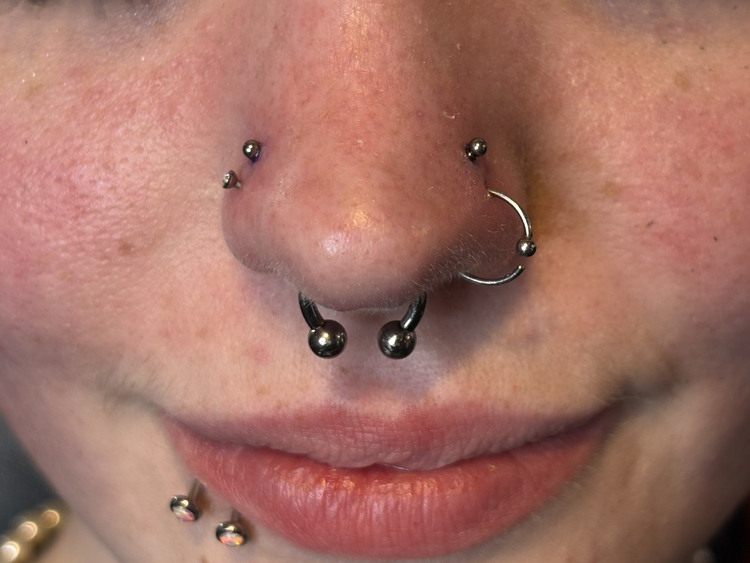 Septum, nostril and labret piercings by Amaris